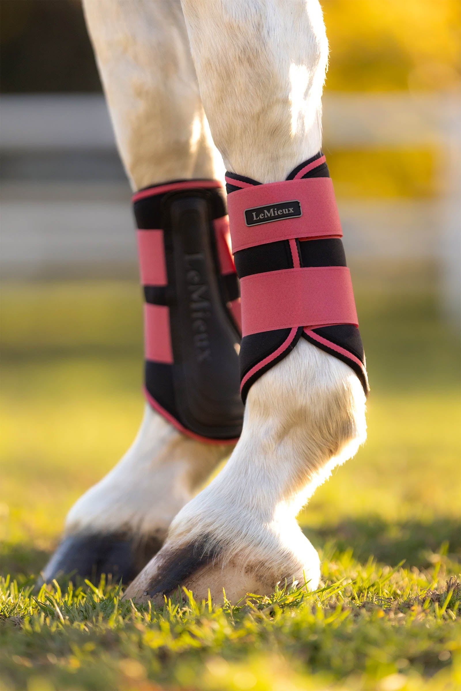 LeMieux Grafter Brushing Boots Leg Protection & Hoof Protection for Horses