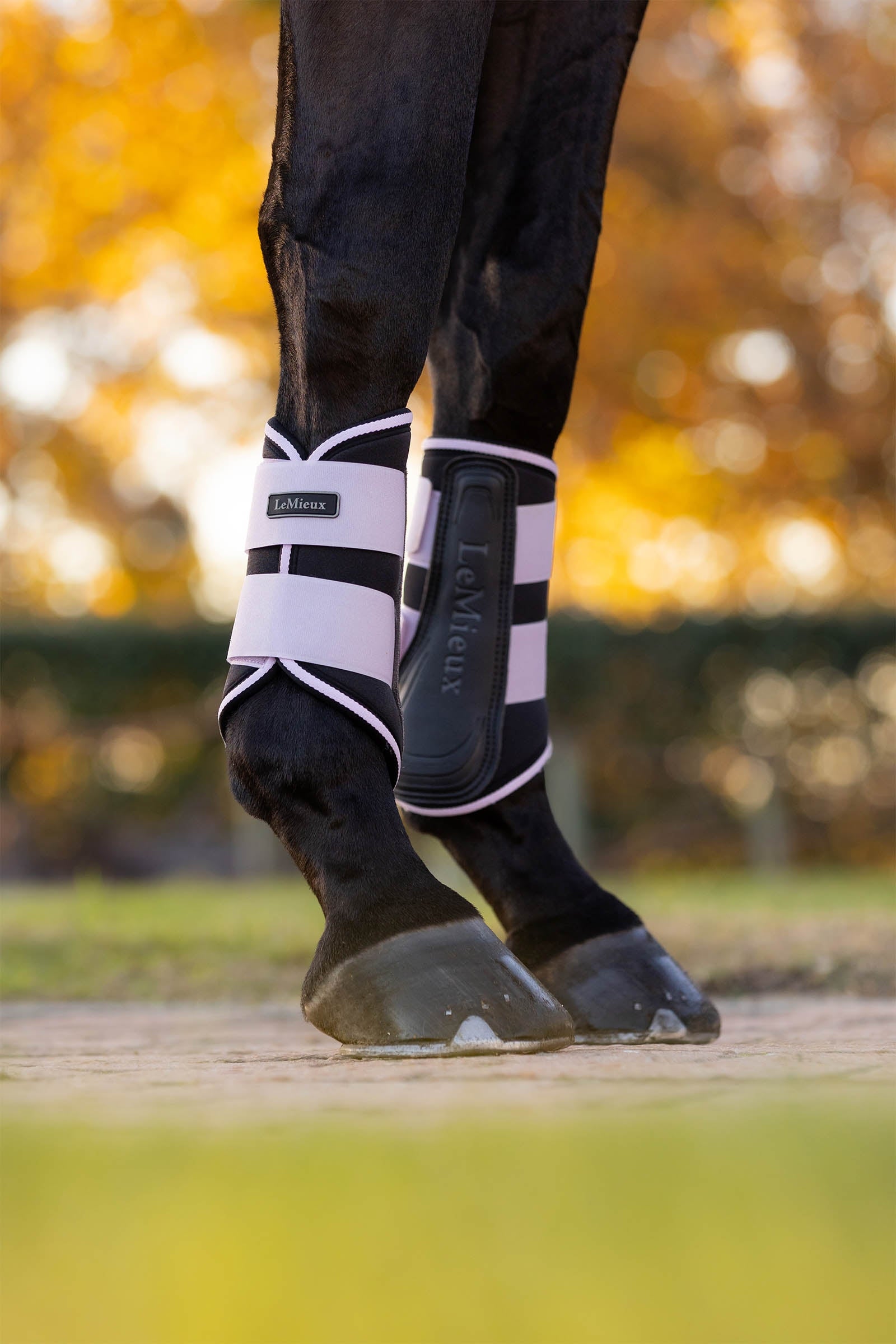 LeMieux Grafter Brushing Boots Leg Protection & Hoof Protection for Horses