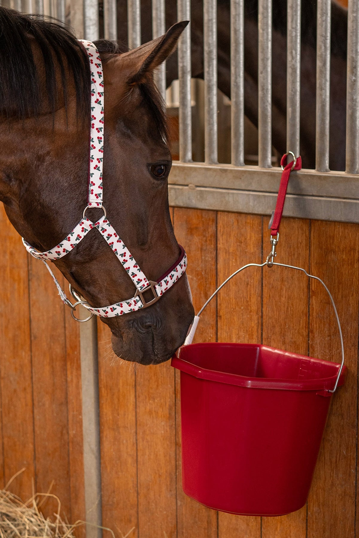 Waldhausen Cherry Halter Halters & Leads