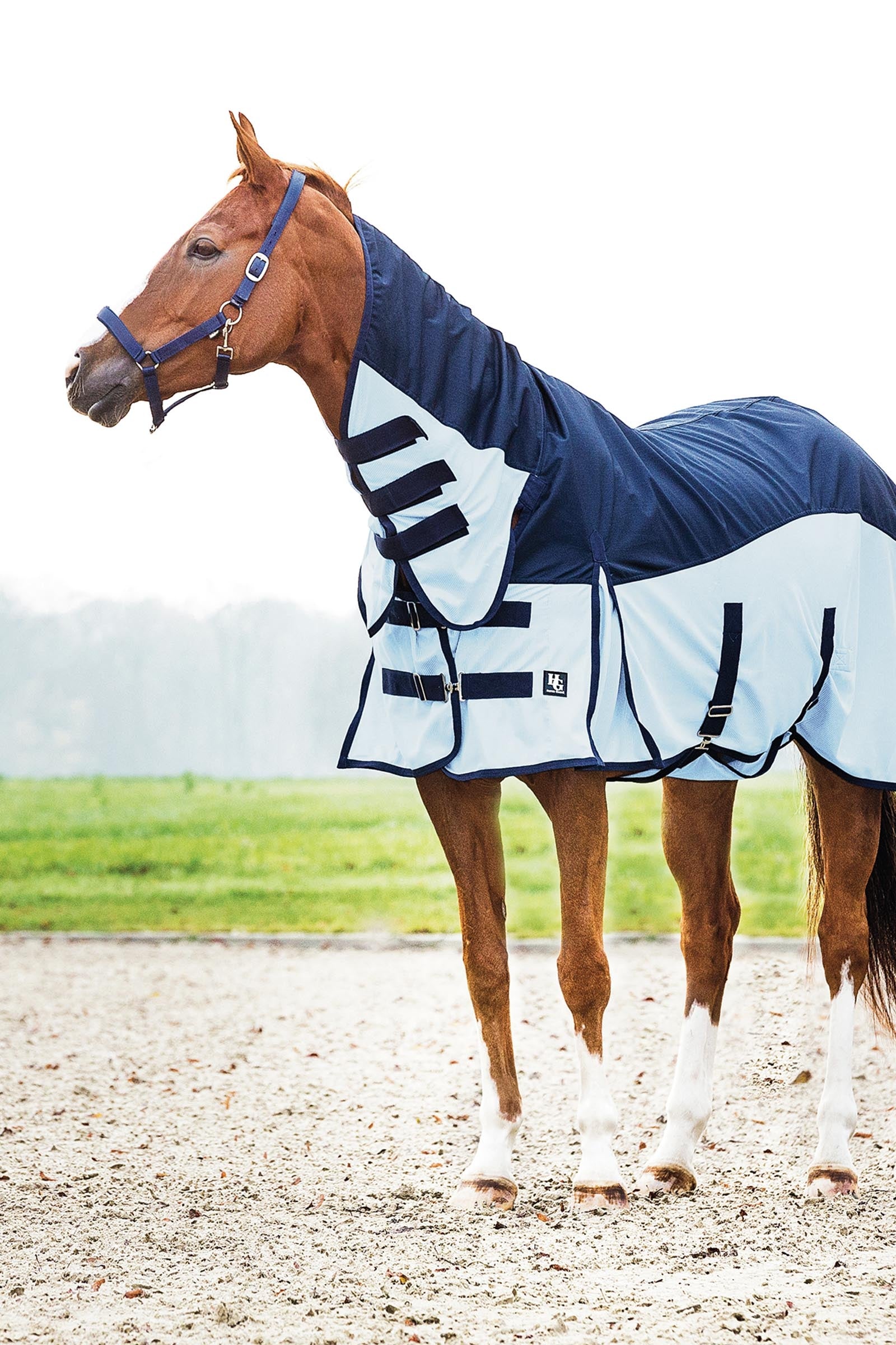 Horse Guard HorseGuard Aiman Rain & Insect Rug Horse Rugs