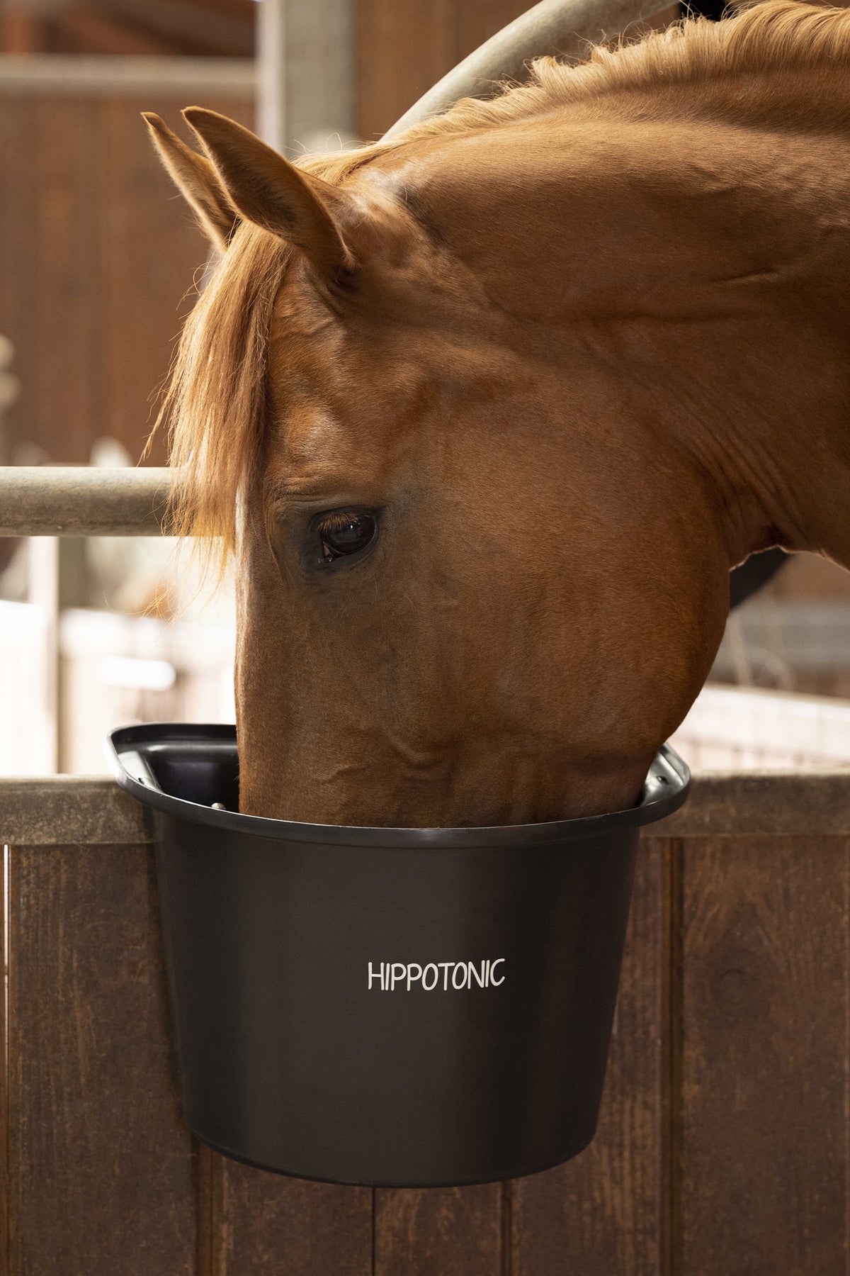 HIPPOTONIC Door Hang Feeder Horse Feeders & Waterers