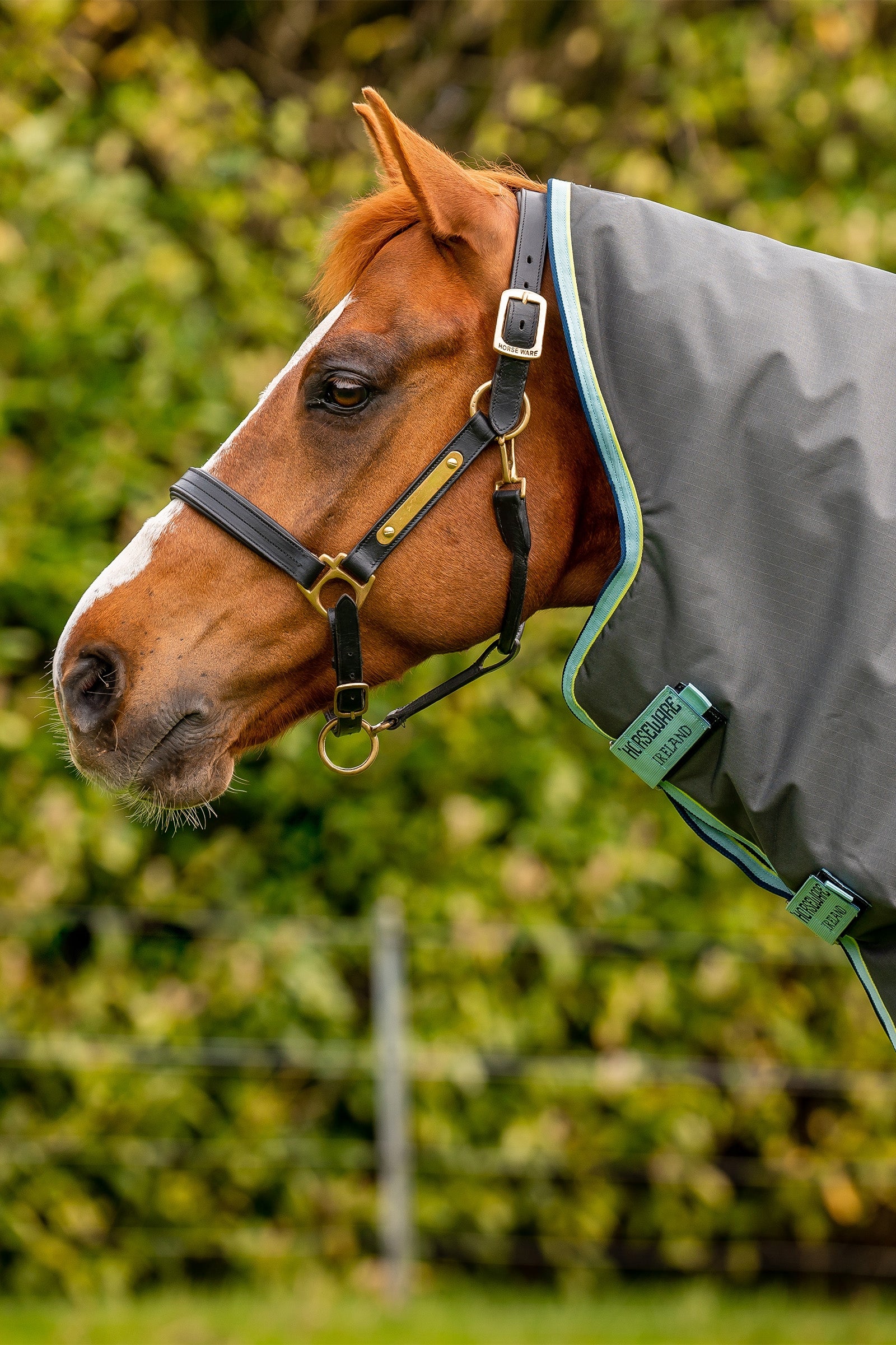 Horseware Amigo Hero Ripstop Plus Turnout Rug With Detachable Neck, 200g Horse Rugs