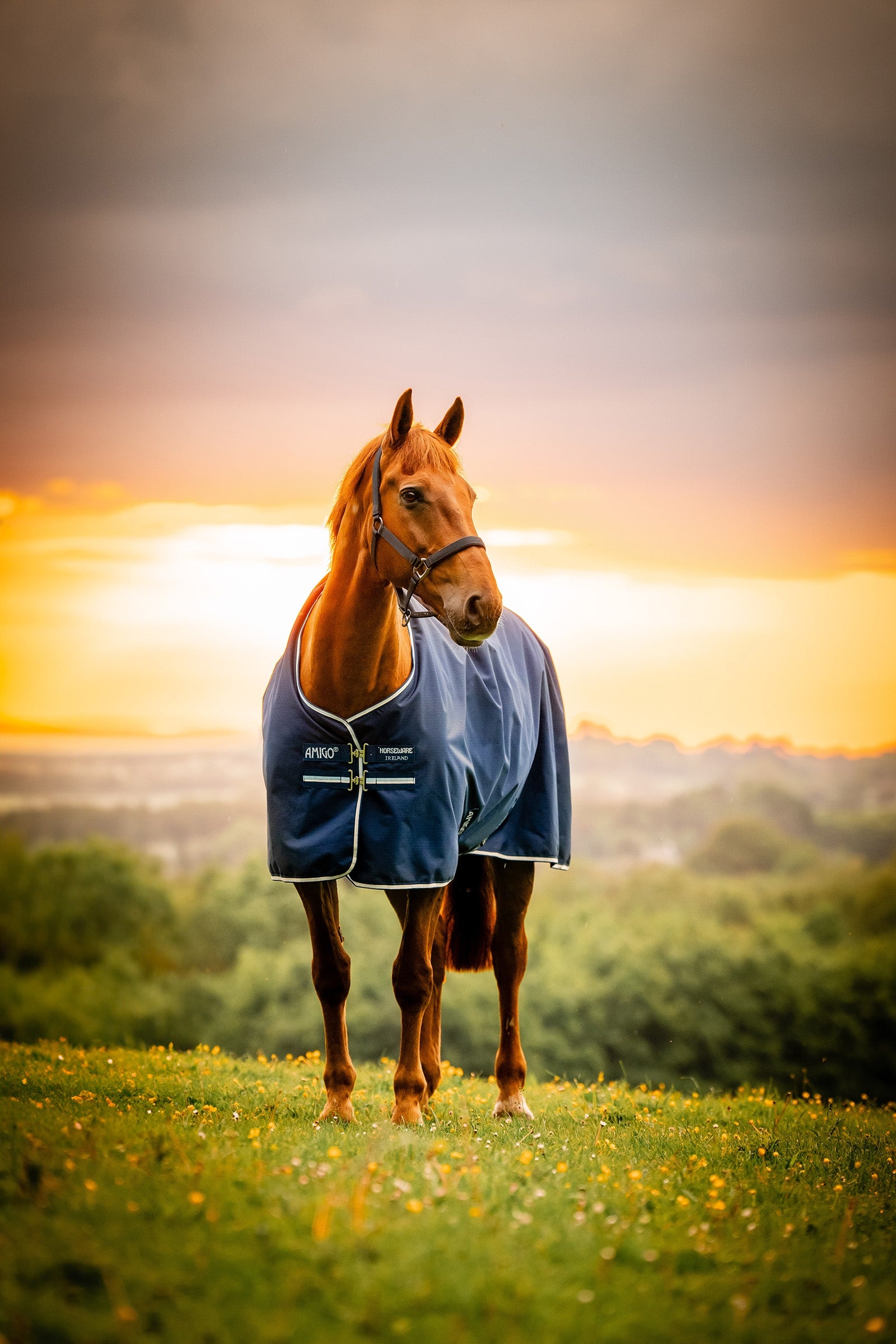 Horseware Amigo Ripstop 900D Fleece Lined Turnout Rug, 50 g Horse Rugs