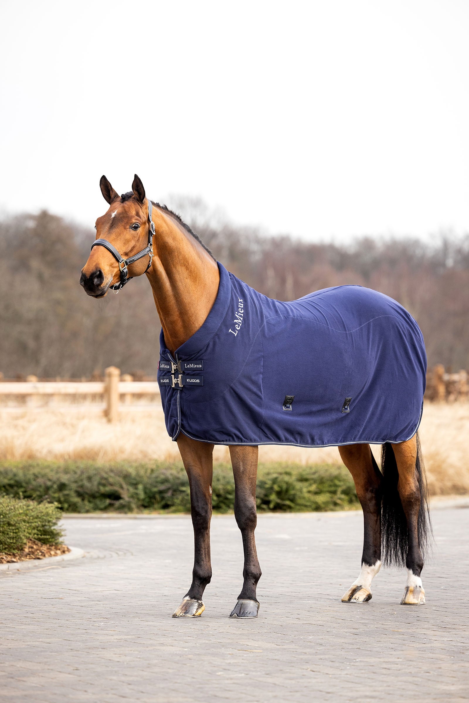 LeMieux Kudos Fleece Cooler Rug Horse Rugs