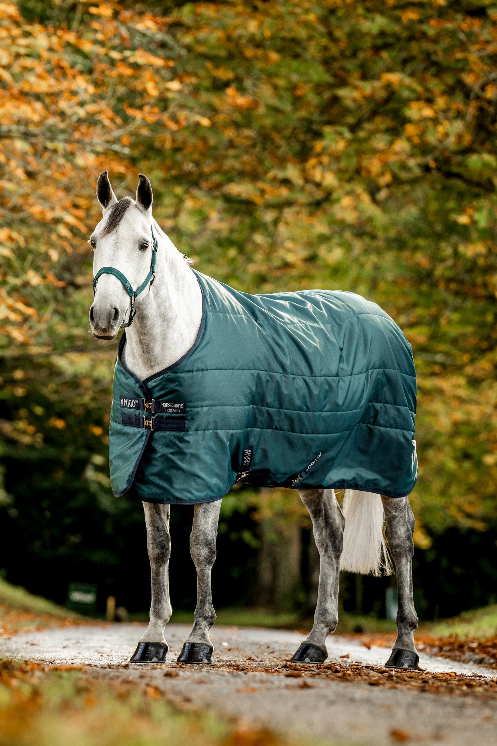 Horseware Amigo Ripstop Insulator Stable, 50g Horse Rugs