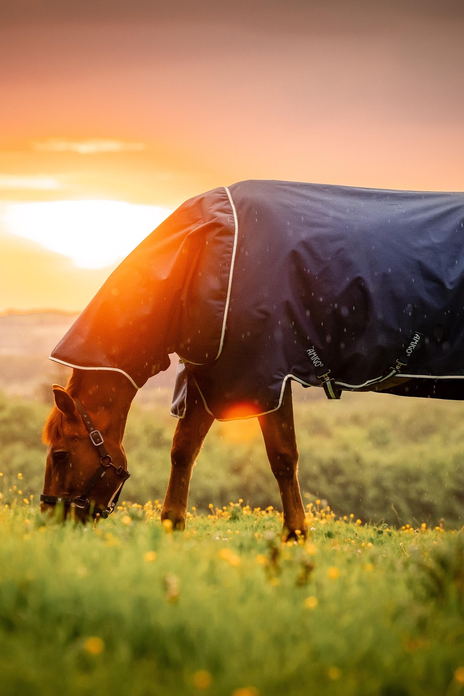 Horseware Amigo Ripstop 900D Plus Turnout, 200g Horse Rugs