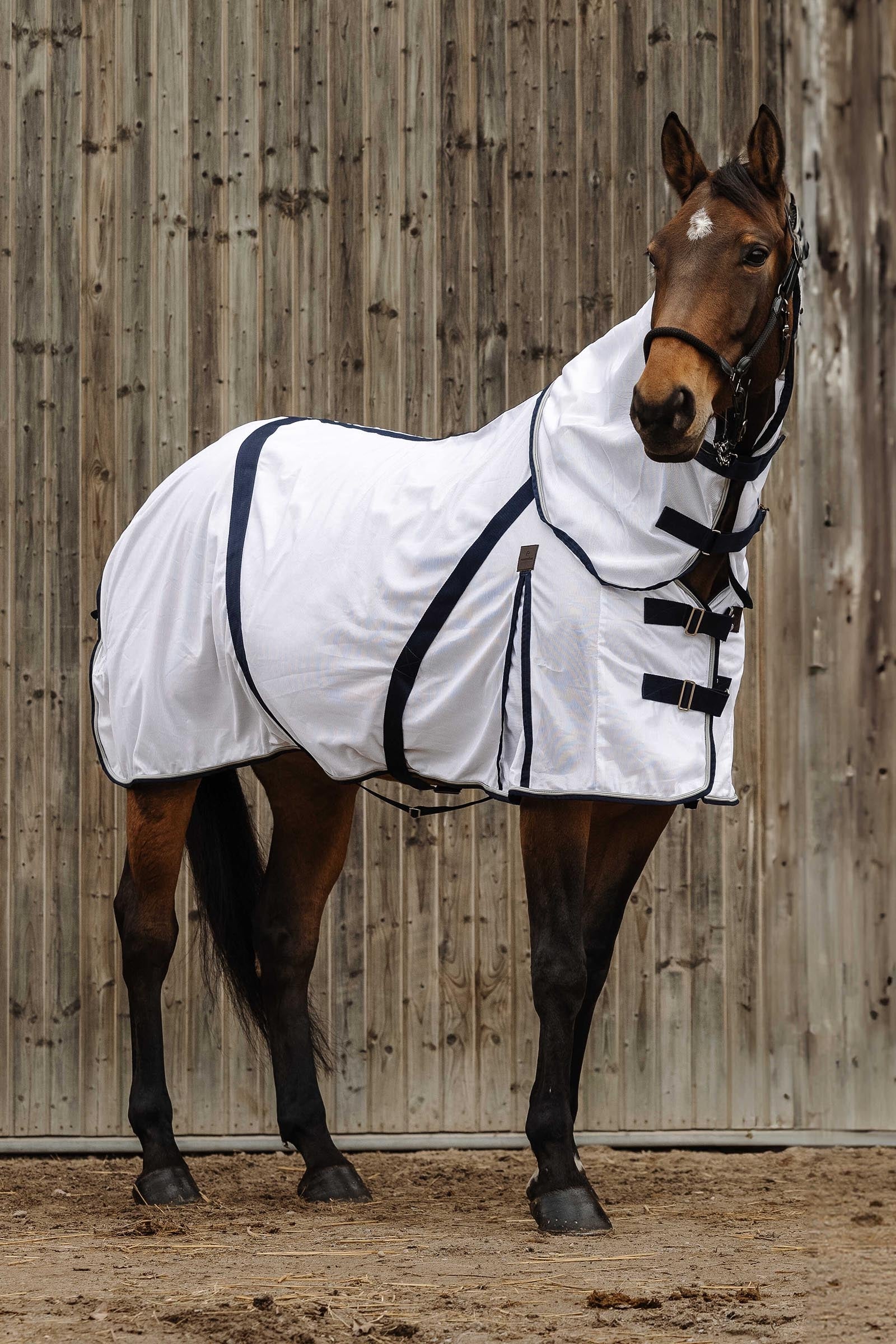 EQUITHÈME Mesh Anti-Insect Sheet Horse Rugs