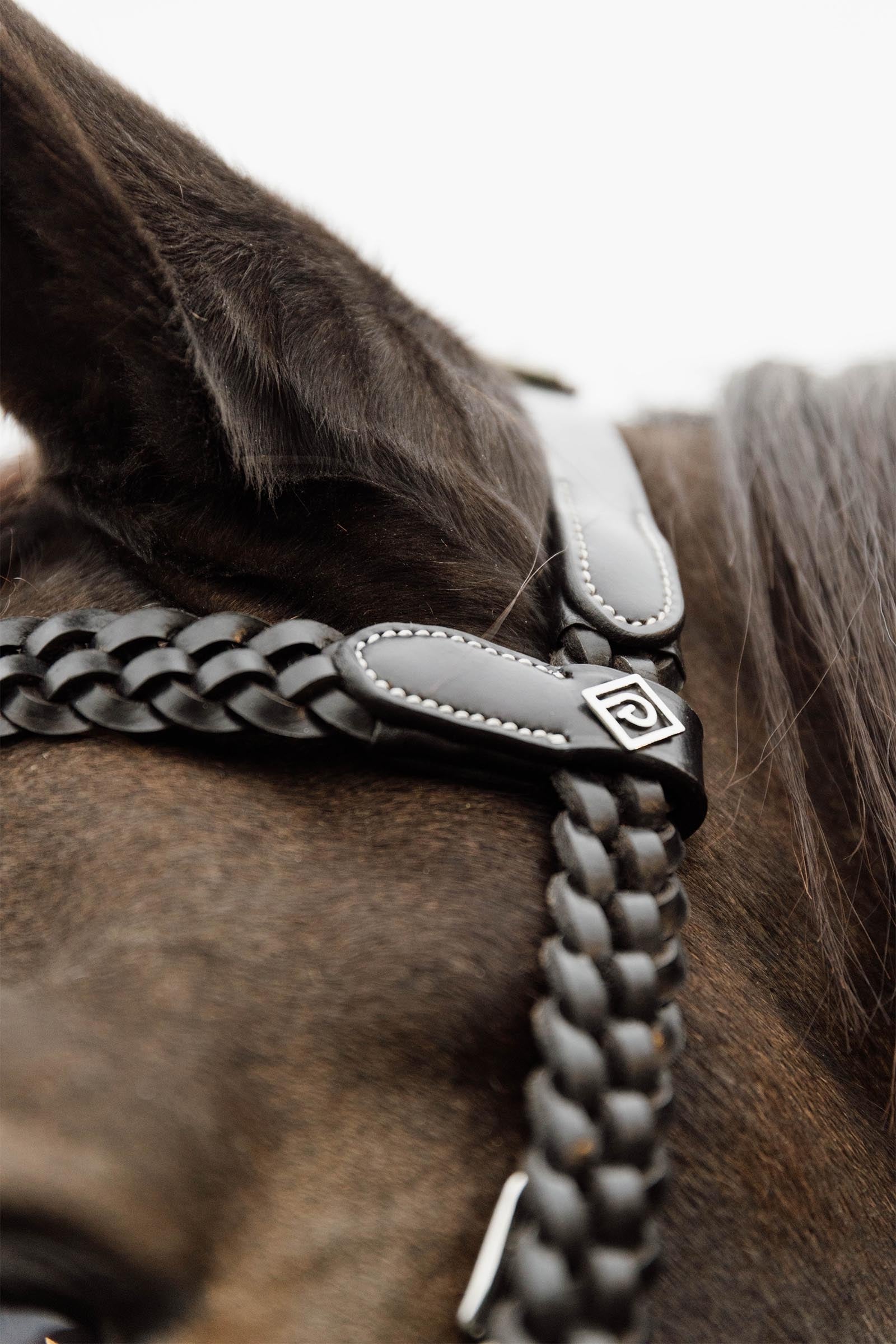 Dy'on Working Plaited Training Bridle Bridles & Reins