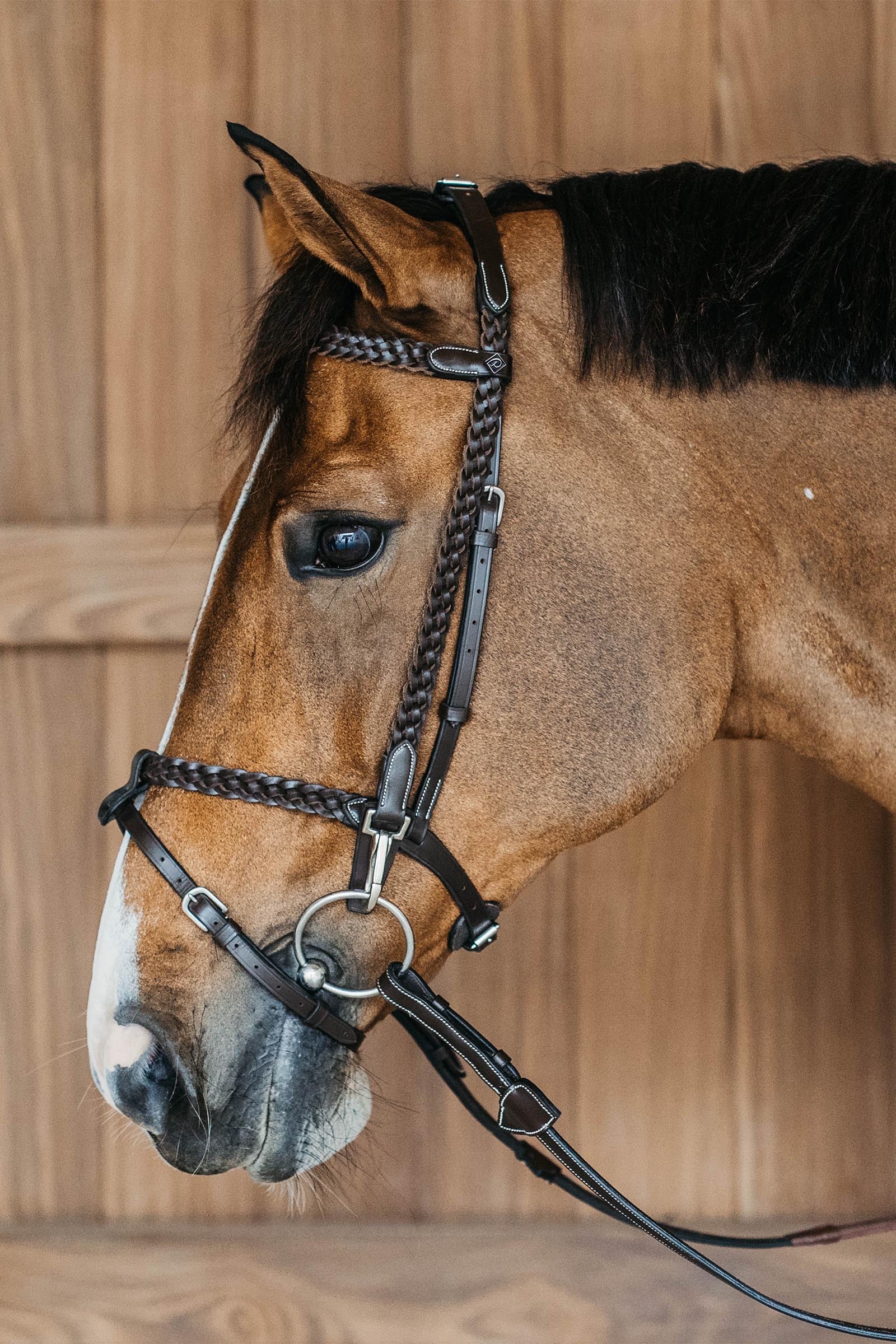 Dy'on Working Plaited Training Bridle Bridles & Reins
