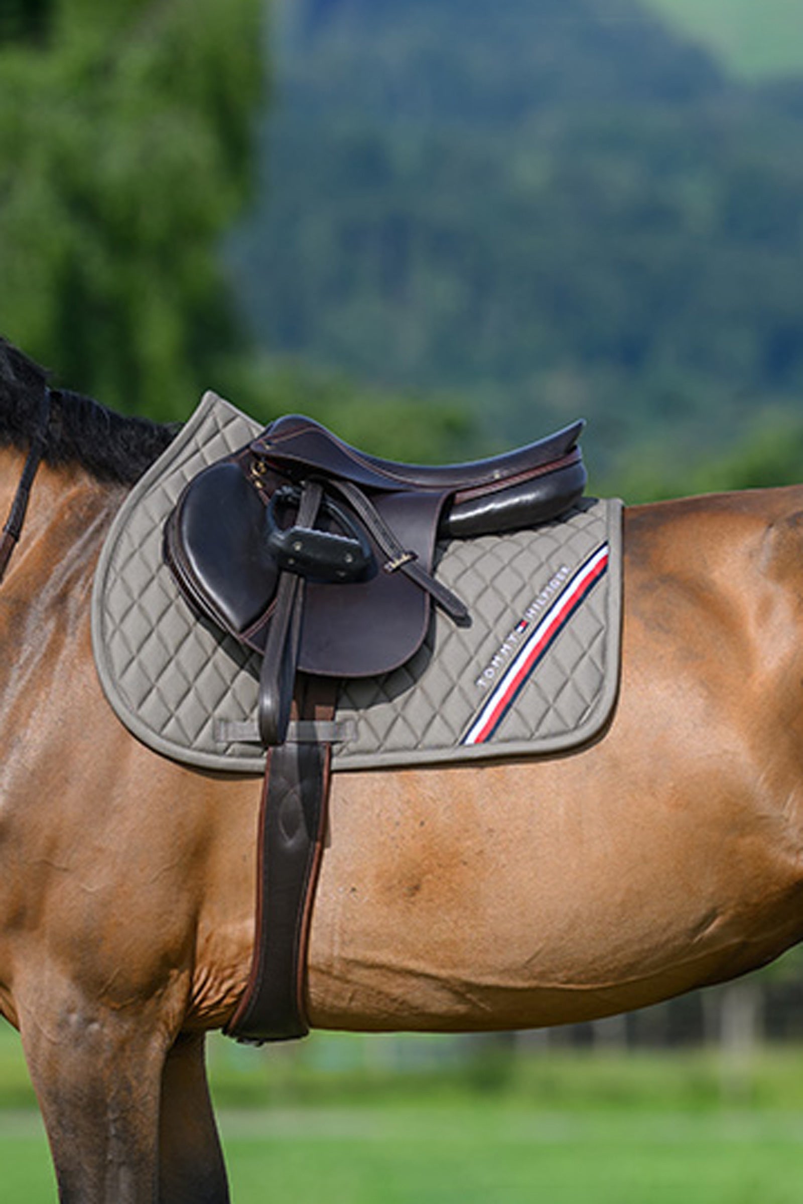 Tommy Hilfiger Equestrian Stanford Jumping Saddlepad Saddle Pads
