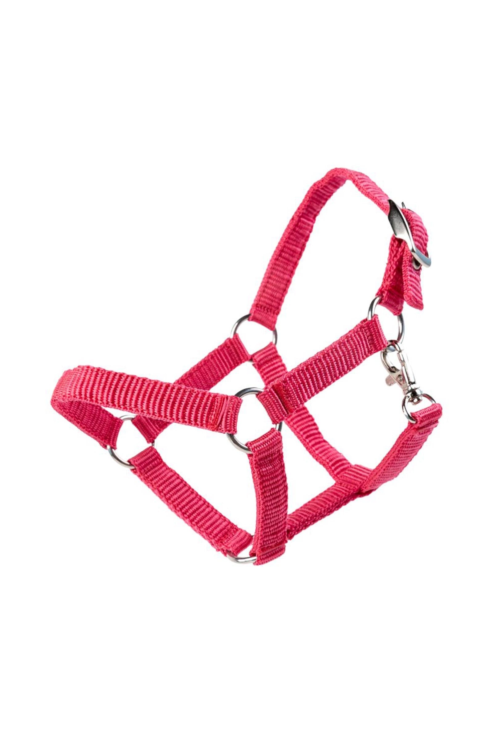 My Hobby Horse Nylon Halter Gifts & Toys