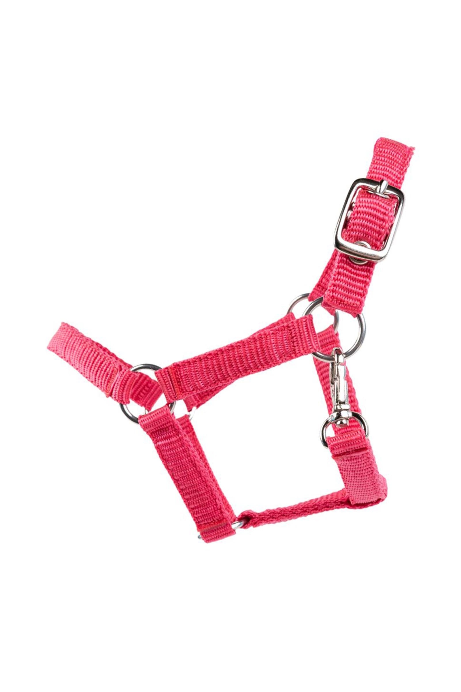 My Hobby Horse Nylon Halter Gifts & Toys