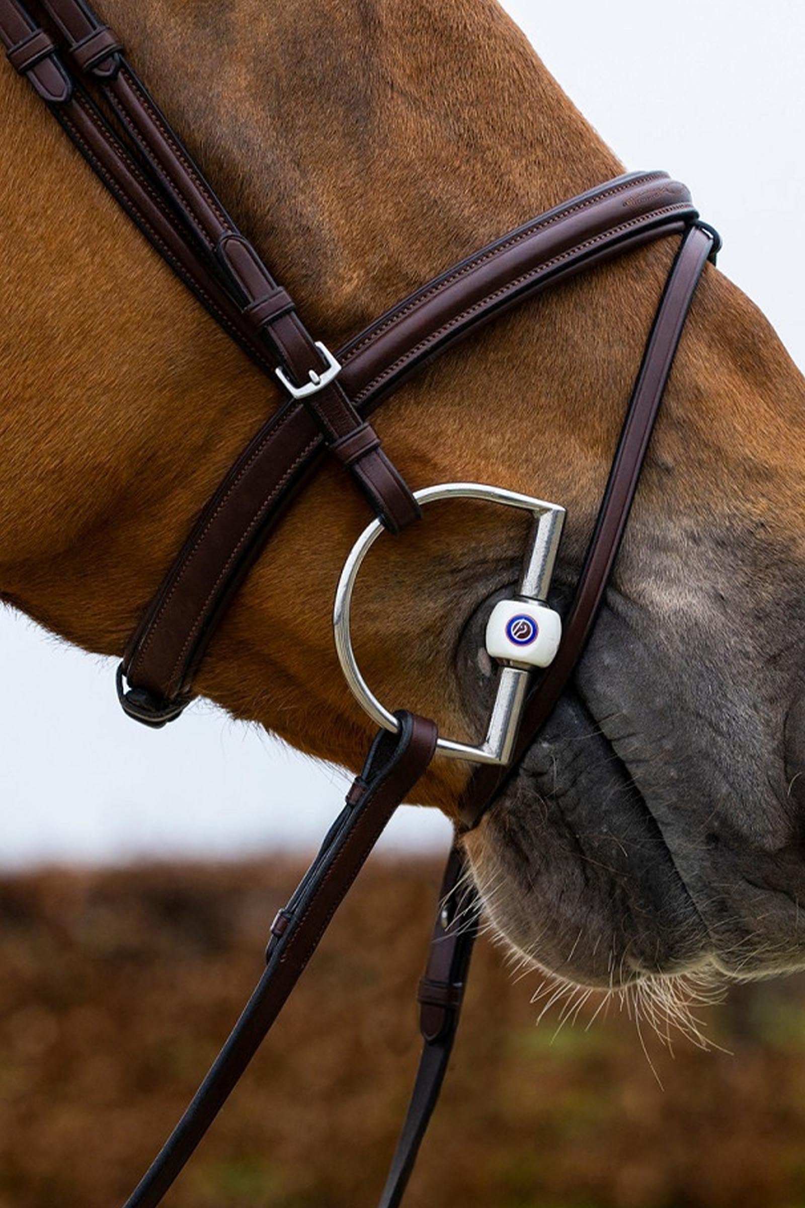 Trust Equestrian Knokke Combine Noseband Bridle Classic Bridles & Reins