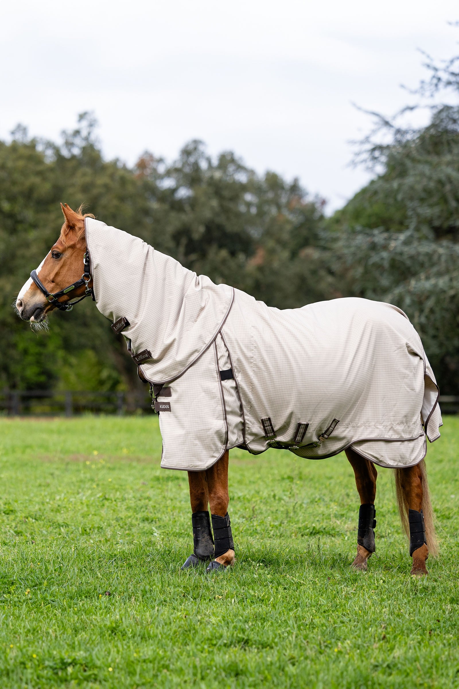 LeMieux Kudos Field Rug Horse Rugs