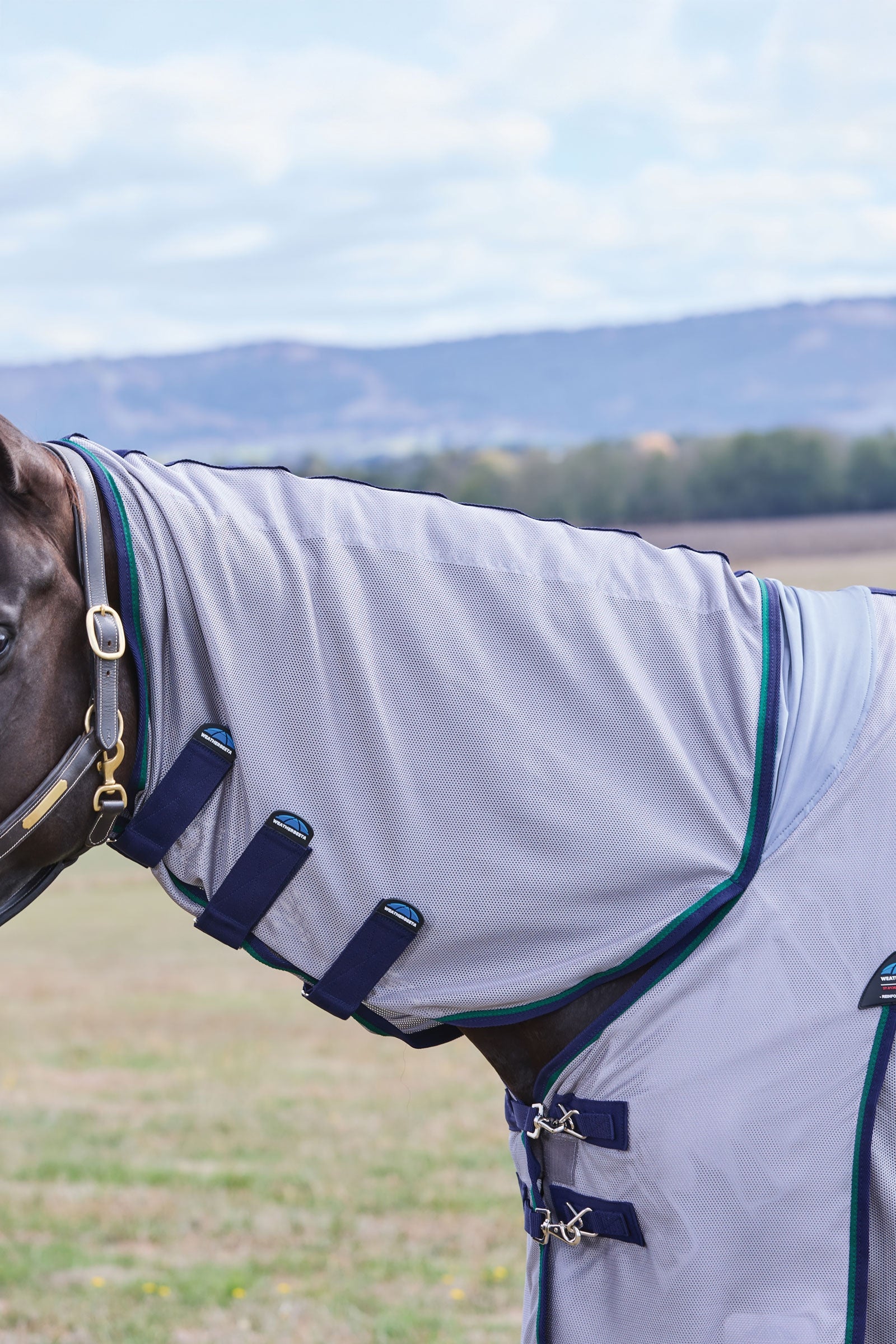 Weatherbeeta Comfitec Zephyr Fly Sheet Combo W. Fixed Neck, 0g Horse Rugs