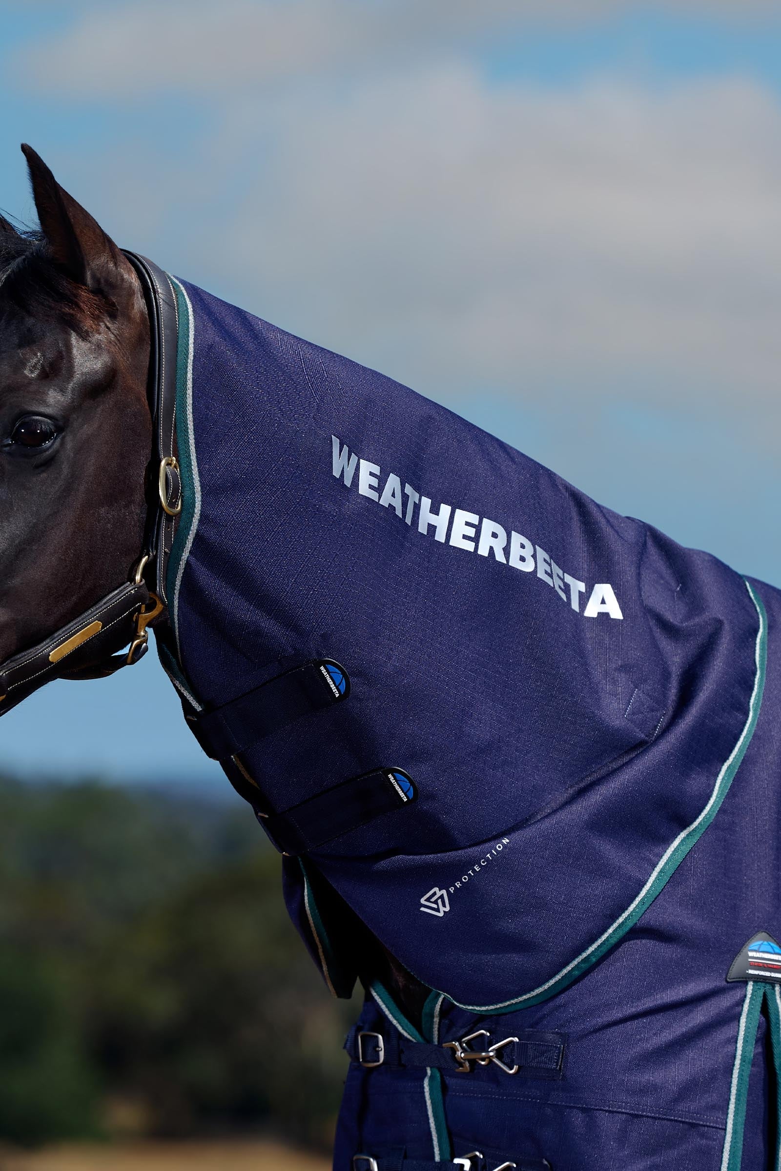Weatherbeeta ComFiTecPlus Dynamic Turnout Detach-a-Neck, 100 g Horse Rugs