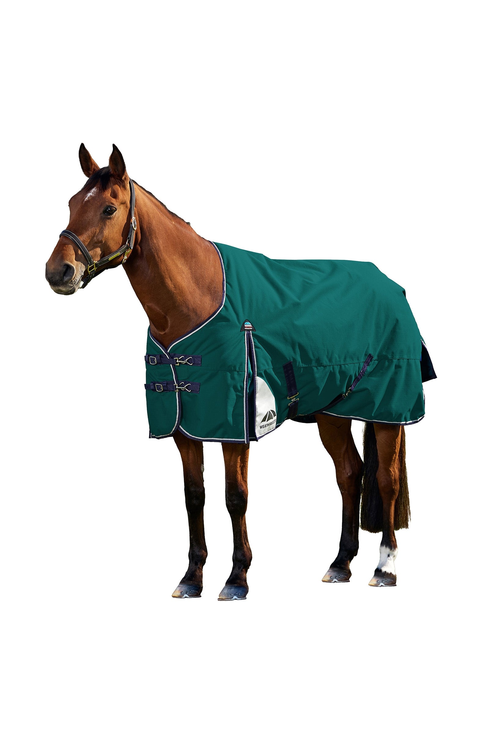Weatherbeeta ComFiTecPlus Dynamic Turnout Detach-a-Neck, 100 g Horse Rugs