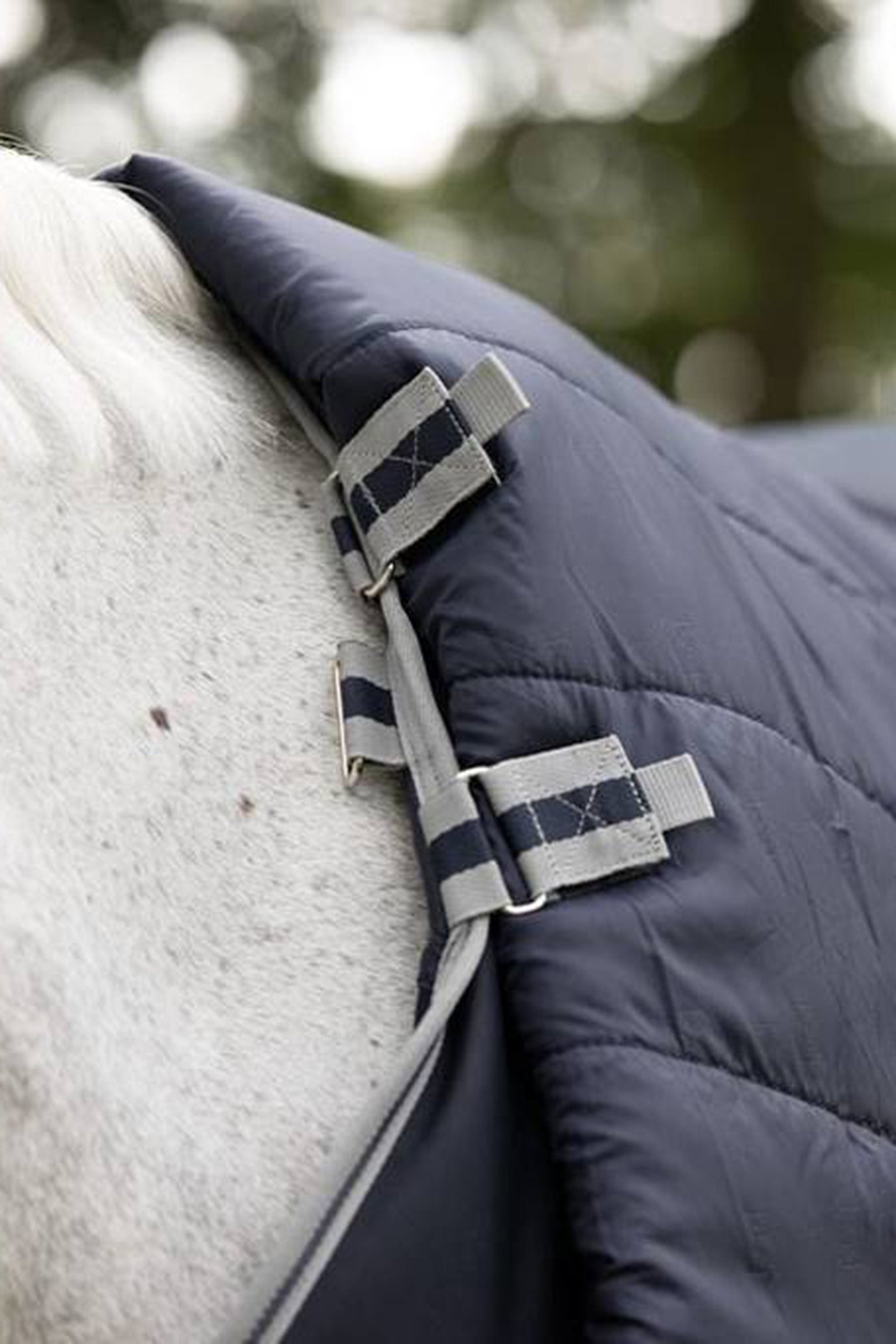 LeMieux Arika Storm-Tek Lightweight Turnout Rug, 100g Horse Rugs