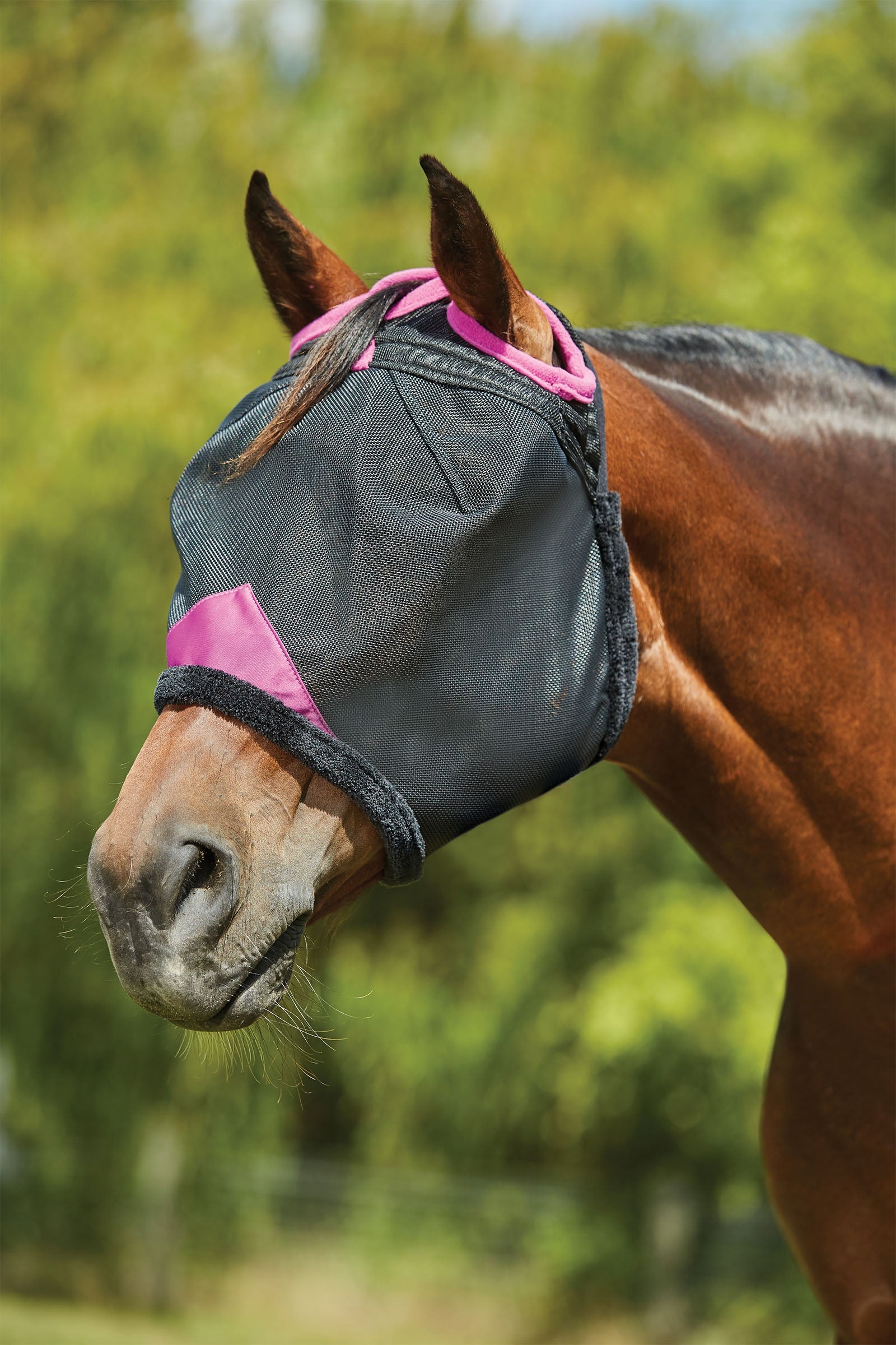 Weatherbeeta Comfitec Deluxe Durable Mesh Mask Antifly Protection for Horses