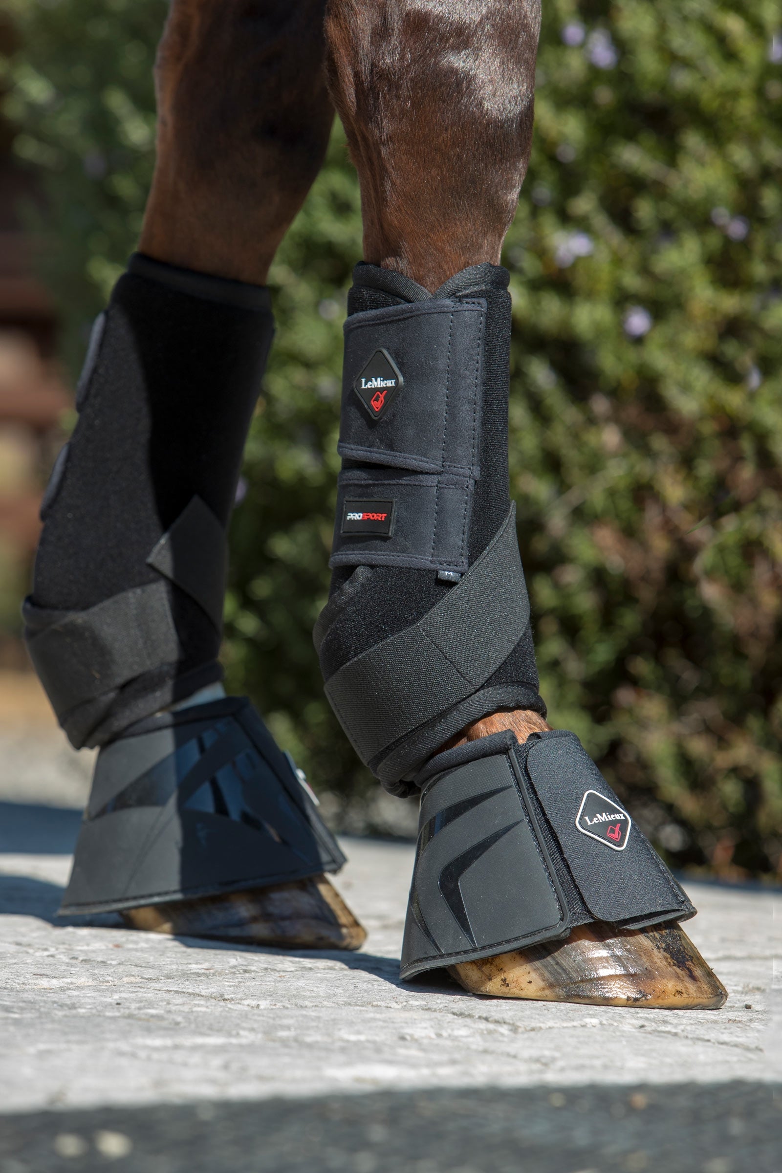 LeMieux Ultra Support Boots Leg Protection & Hoof Protection for Horses