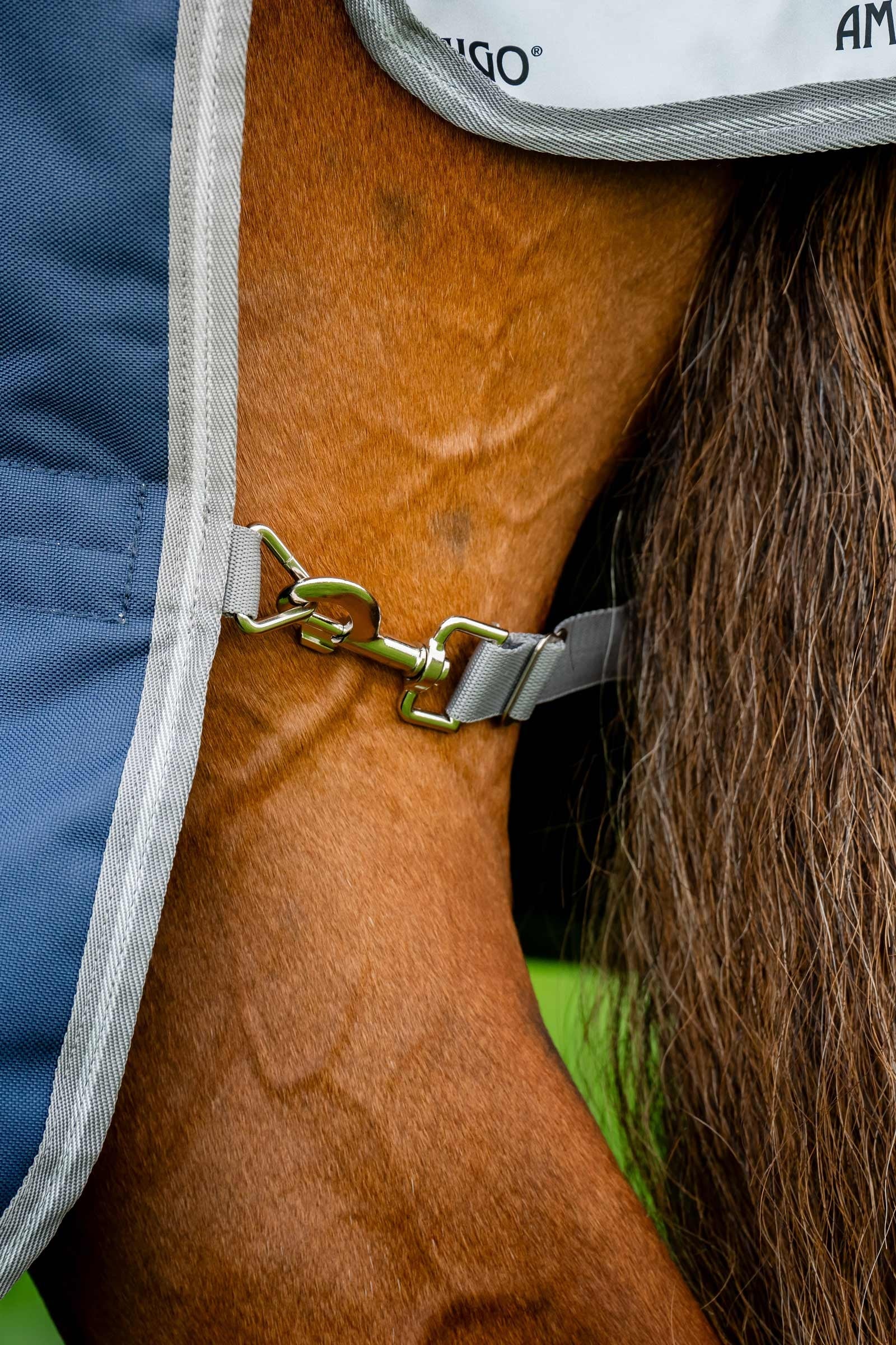 Horseware Amigo Bravo 12 Plus Turnout Rug With Detachable Neck, 400g Horse Rugs