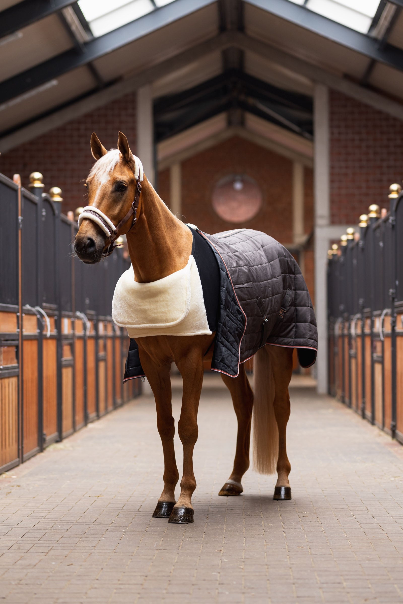 Horze Comfort Shoulder Protector Horse Rugs