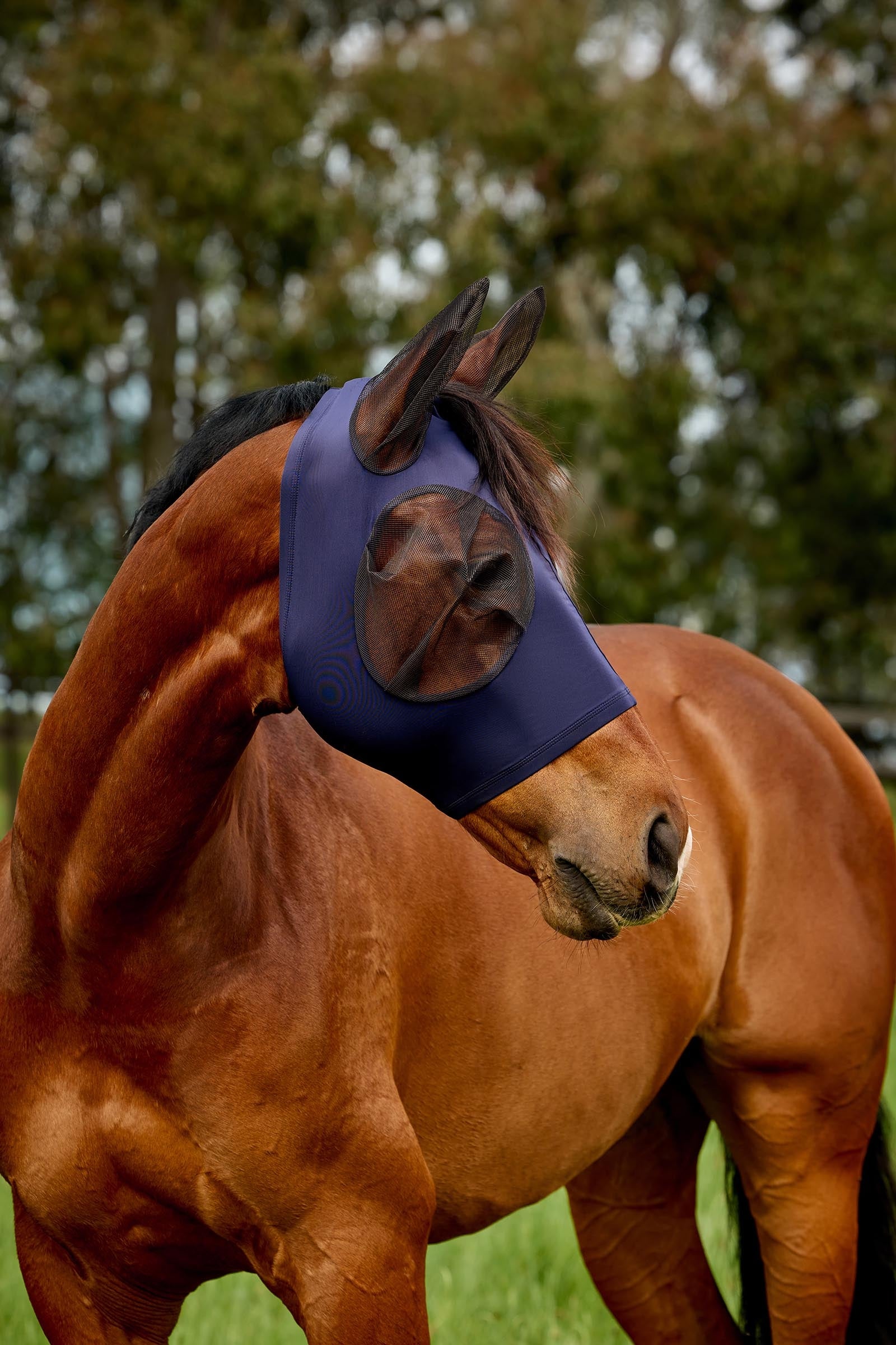Weatherbeeta Comfitec Deluxe Stretch Fly Mask With Ears Antifly Protection for Horses