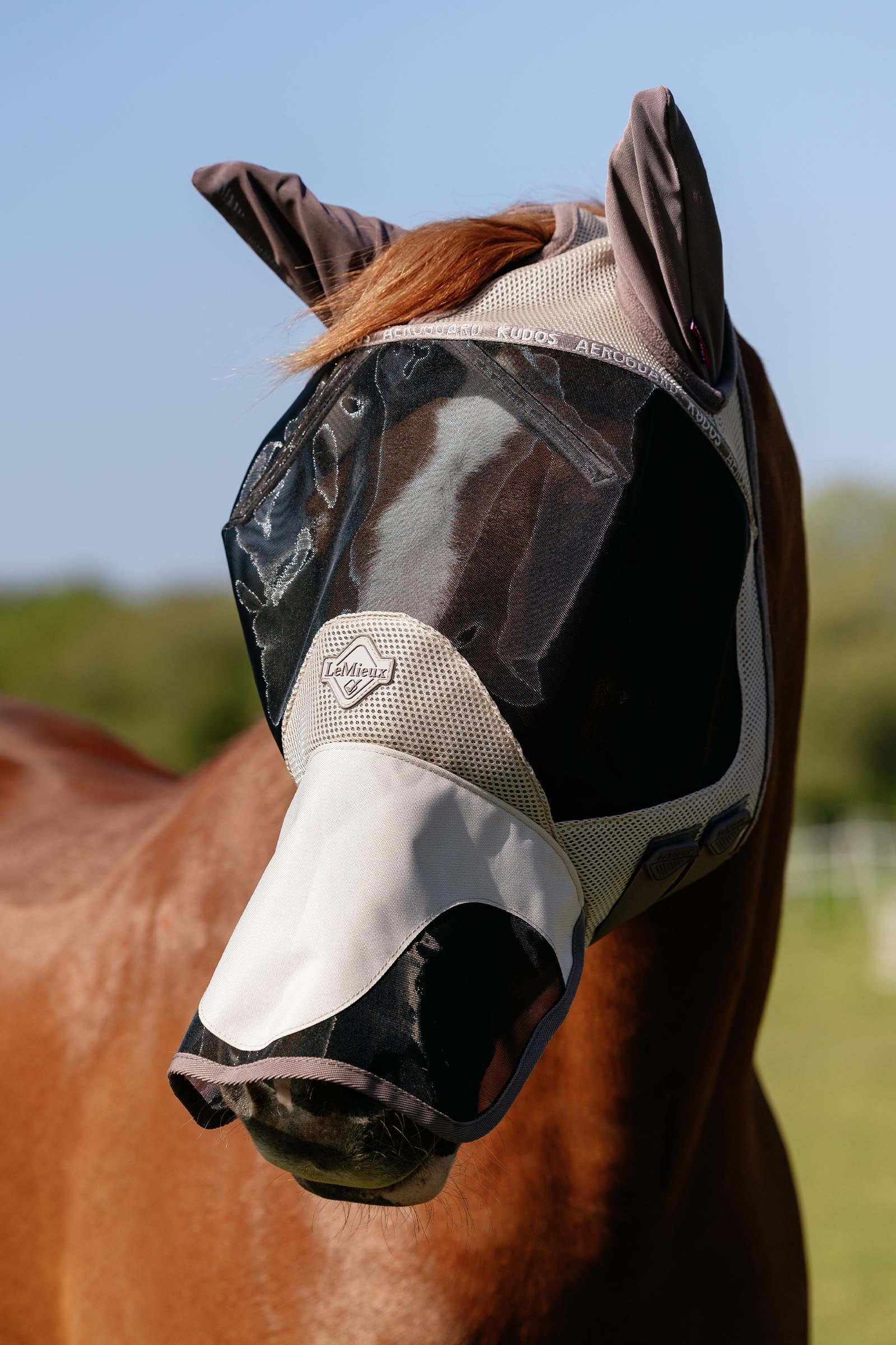 LeMieux Kudos AeroGuard Full Fly Mask Antifly Protection for Horses