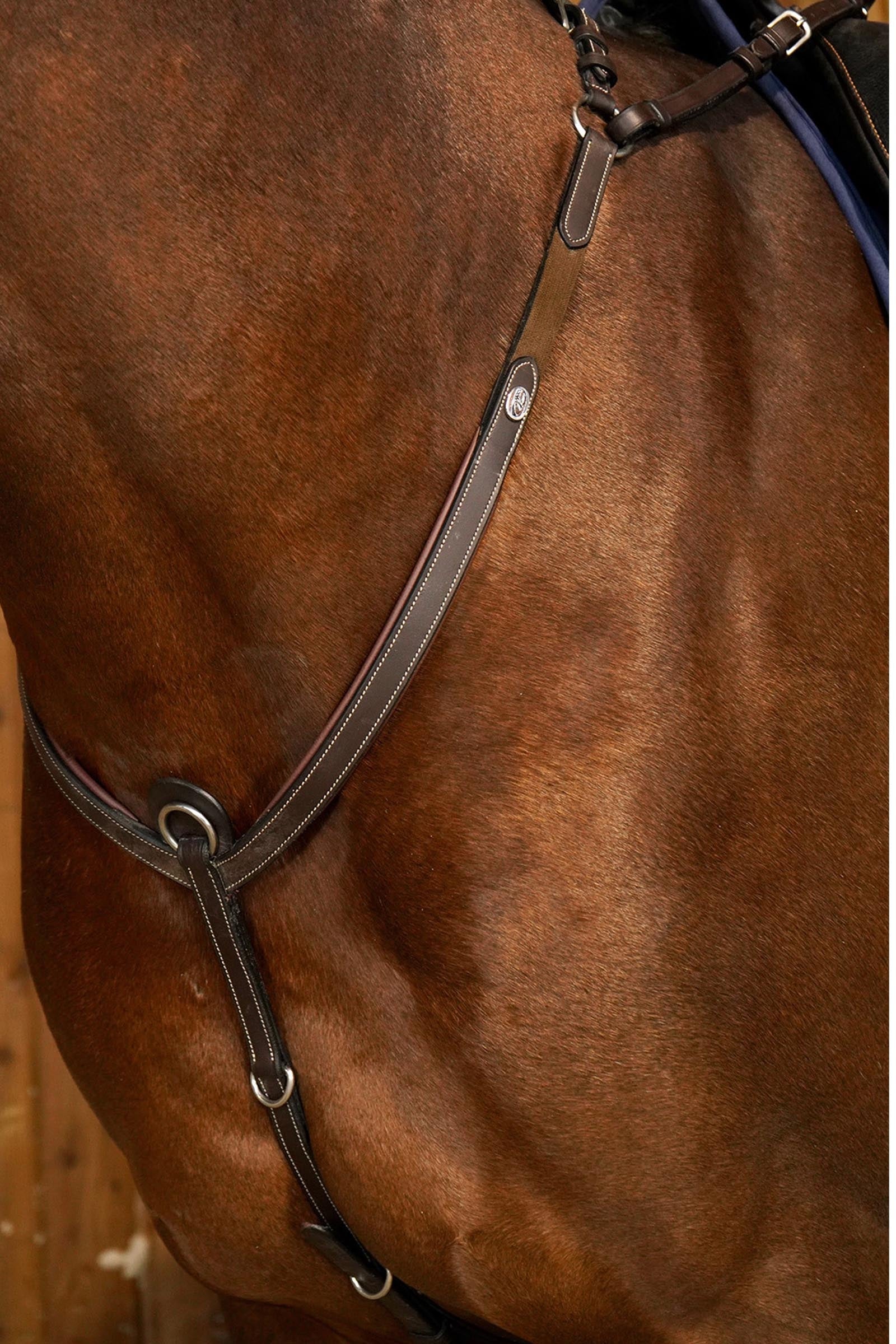 Dy'on Working Bridge Breastplate Bridles & Reins