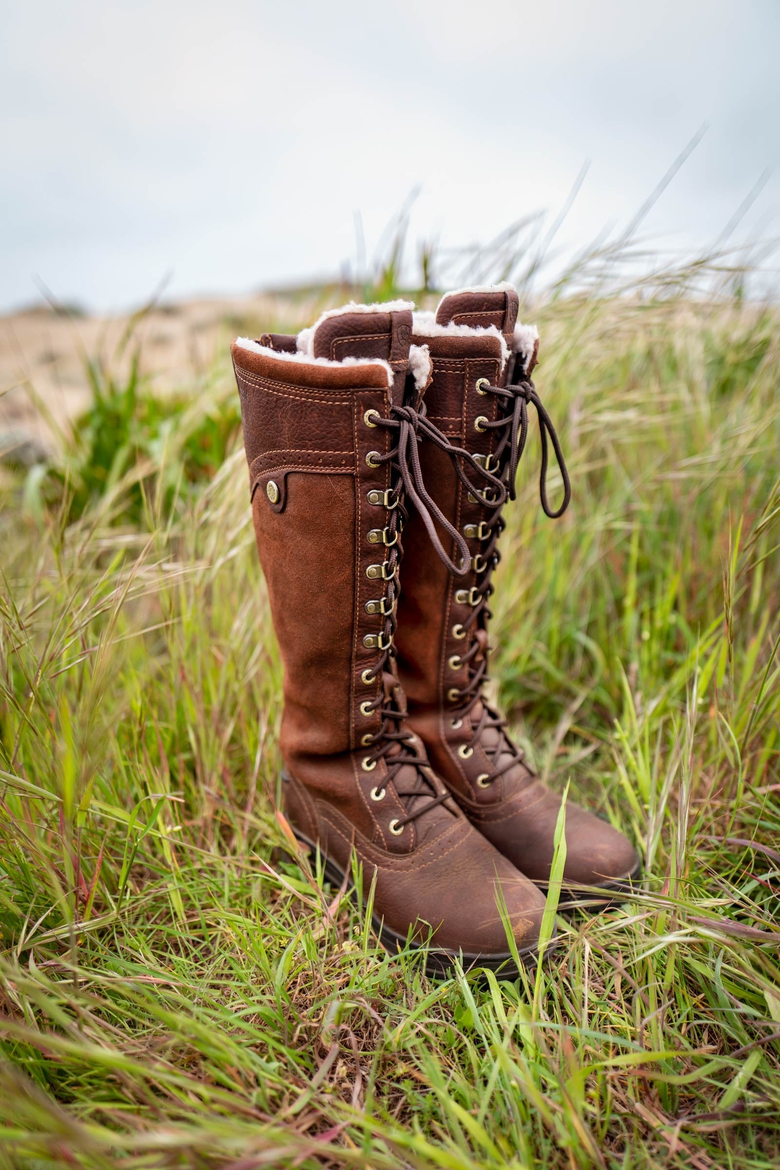 Ariat Wythburn Tall Women´s Waterproof Boots Riding Boots & Riding Shoes