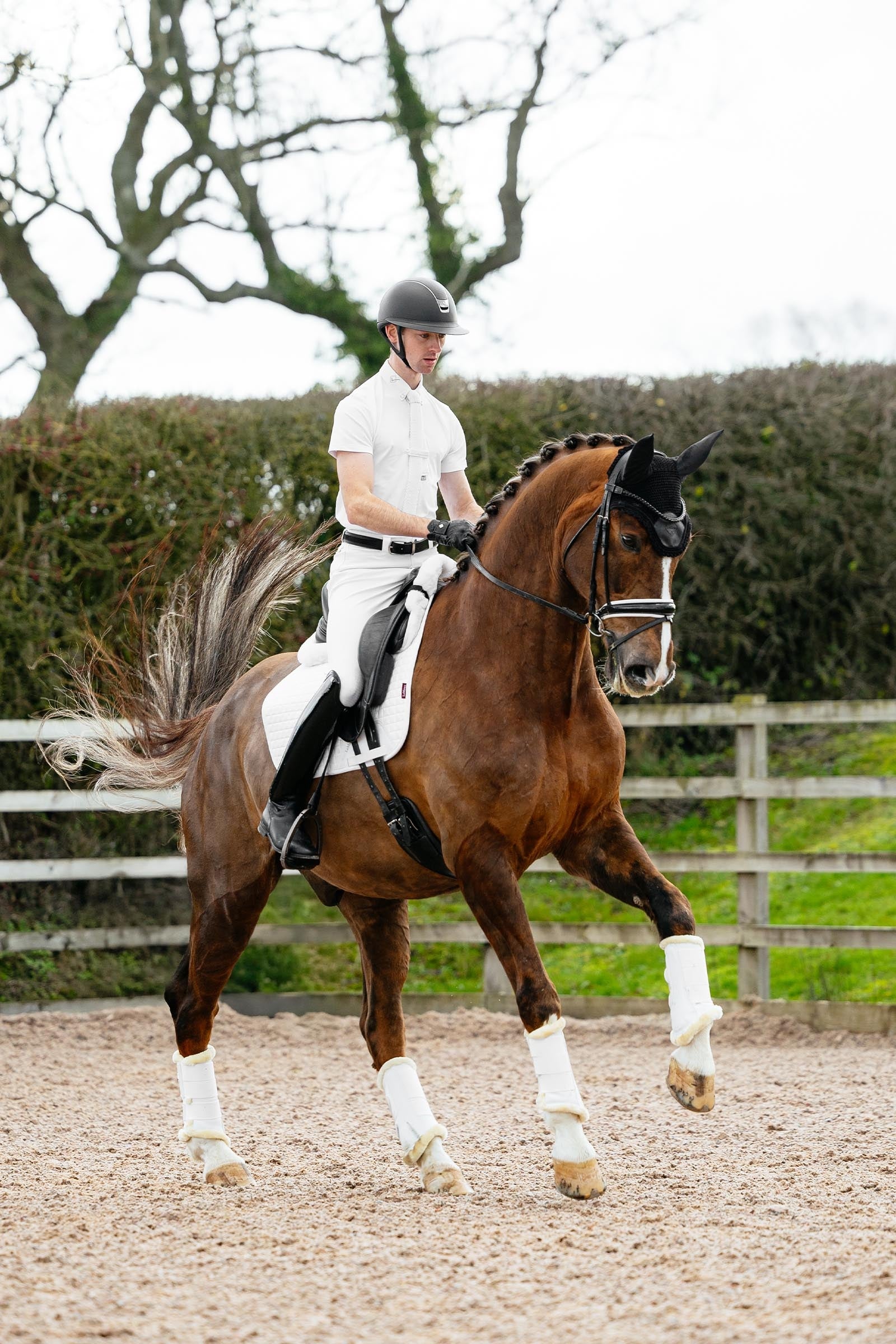 LeMieux Suede Dressage Square Saddle Pad Saddle Pads