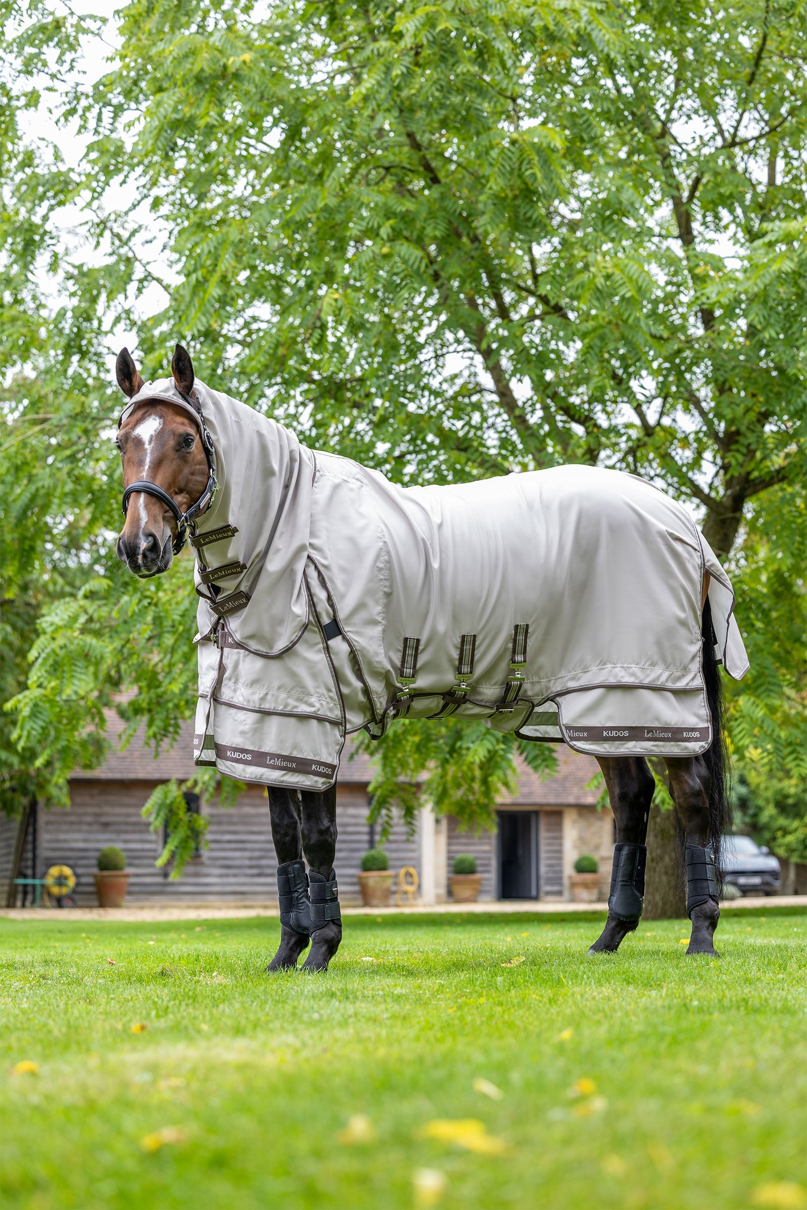 LeMieux Kudos Sweet Itch Rug Horse Rugs