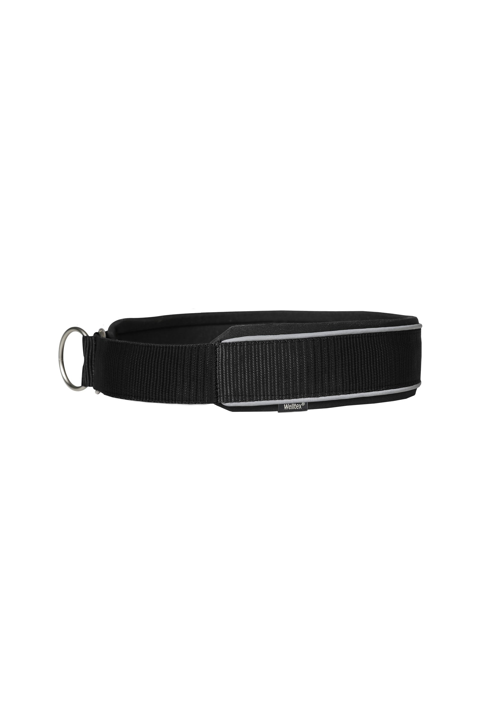 Back on Track Charlie Collar Dog Accesories