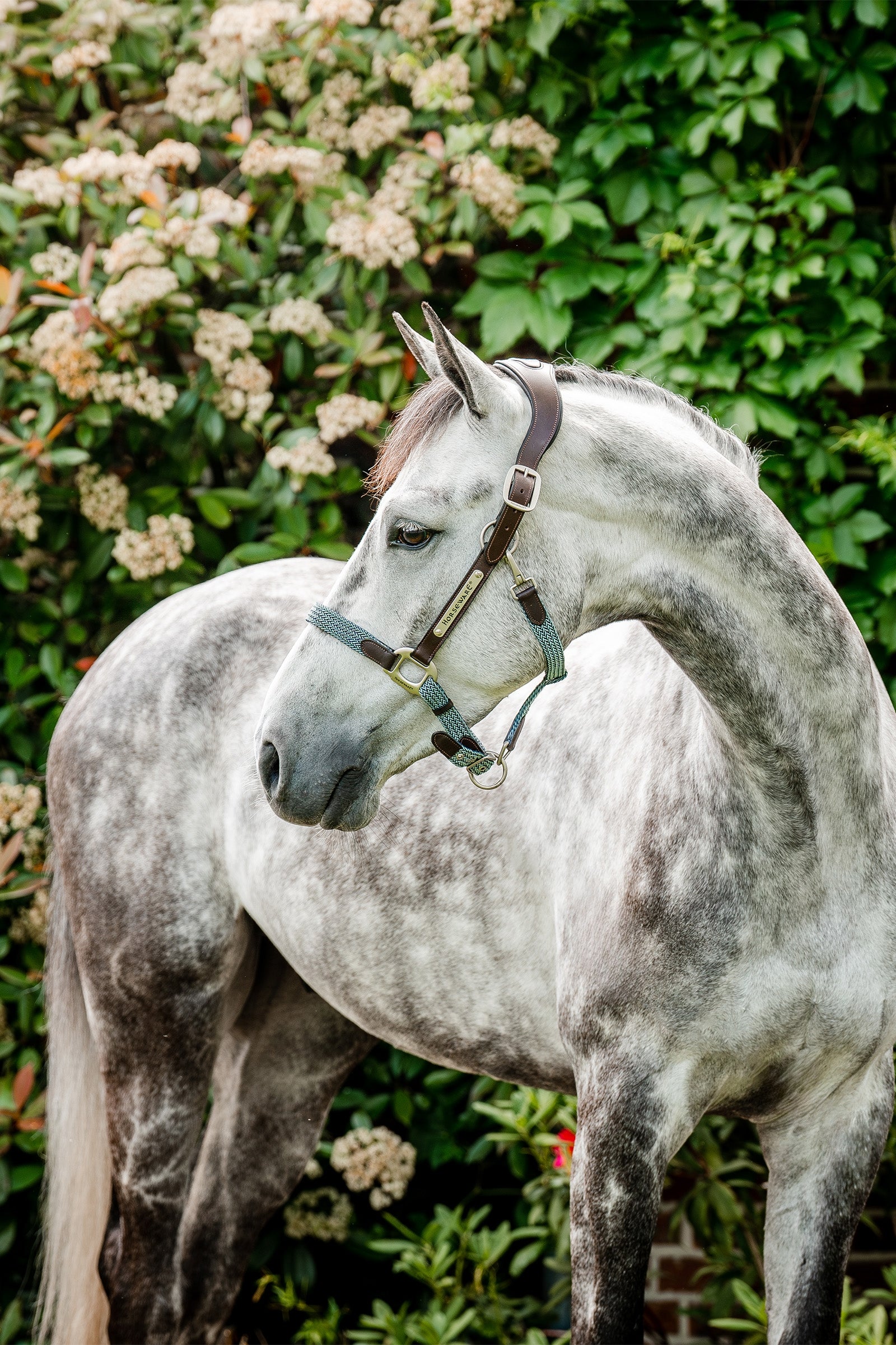Horseware Signature Braided Headcollar Halters & Leads