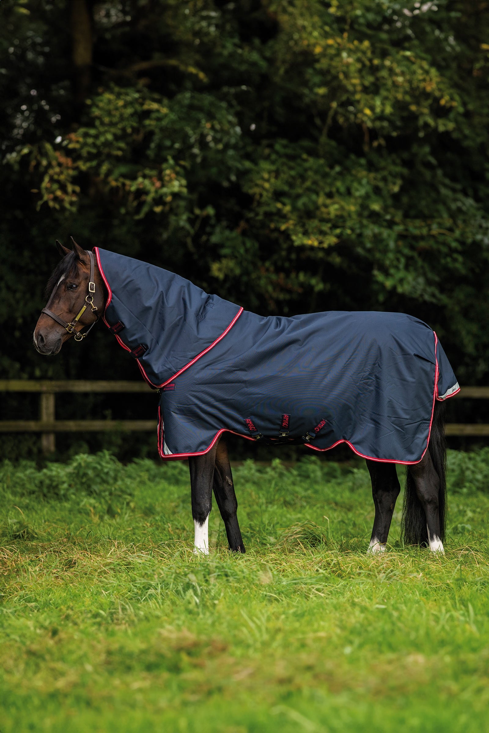 Horseware Amigo Bravo 12 Plus Turnout Rug, 250 g Horse Rugs