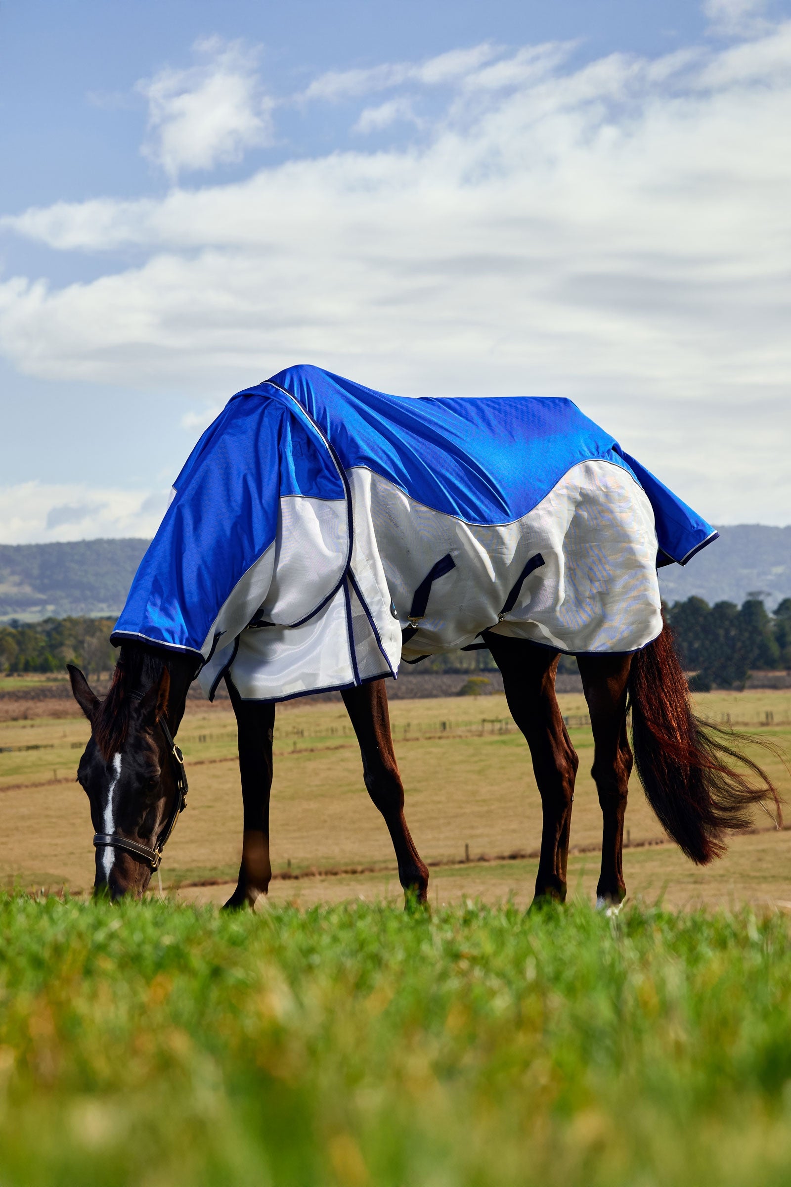 Weatherbeeta Comfitec Duo Shield Detach-a-Neck, 0g Horse Rugs