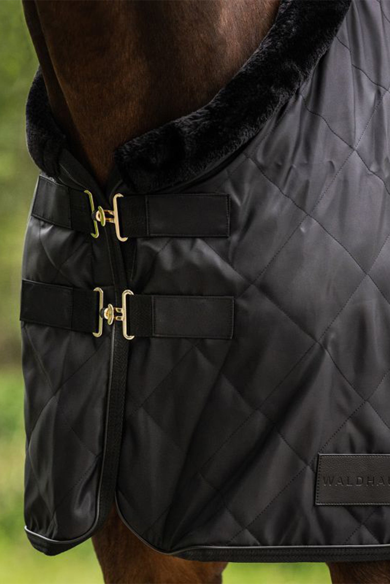 Waldhausen Exclusive Travel Rug, 50g Horse Rugs