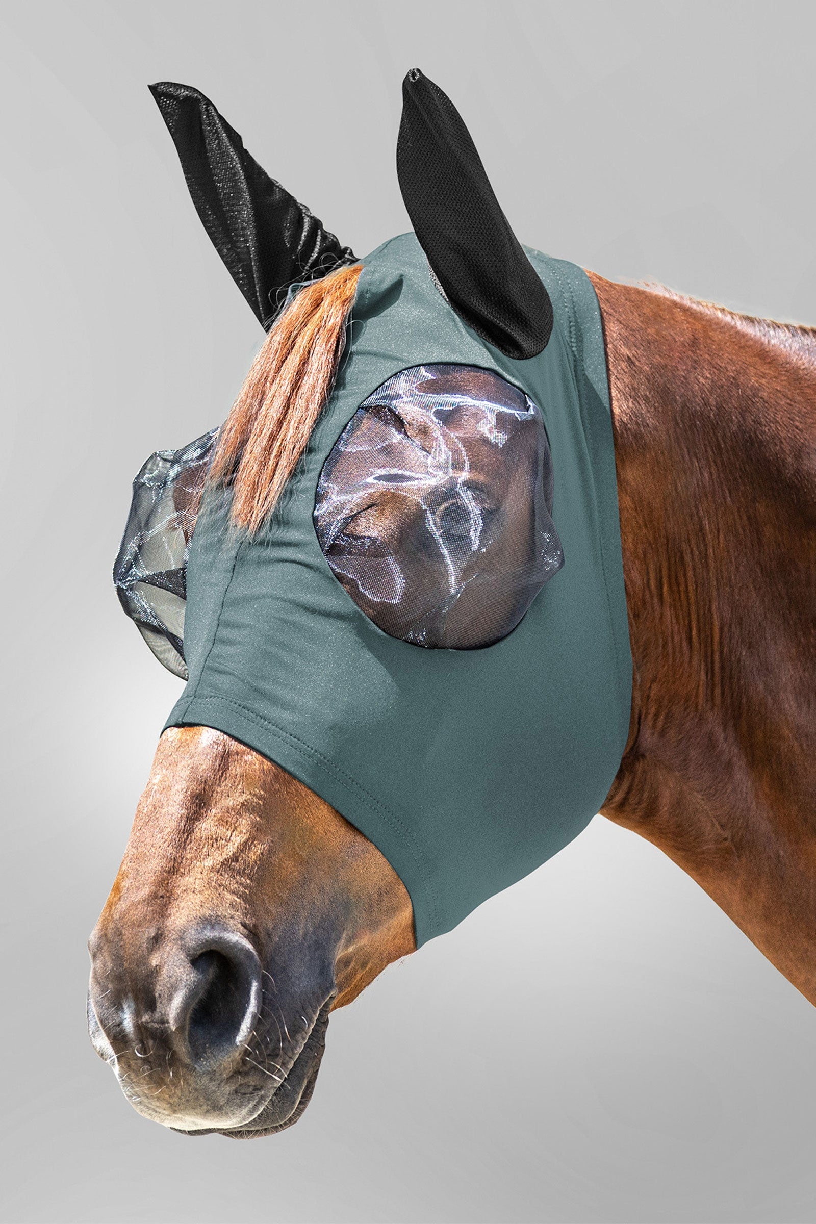 Waldhausen Puck Fly Mask With Zip and  UV-Protection Antifly Protection for Horses