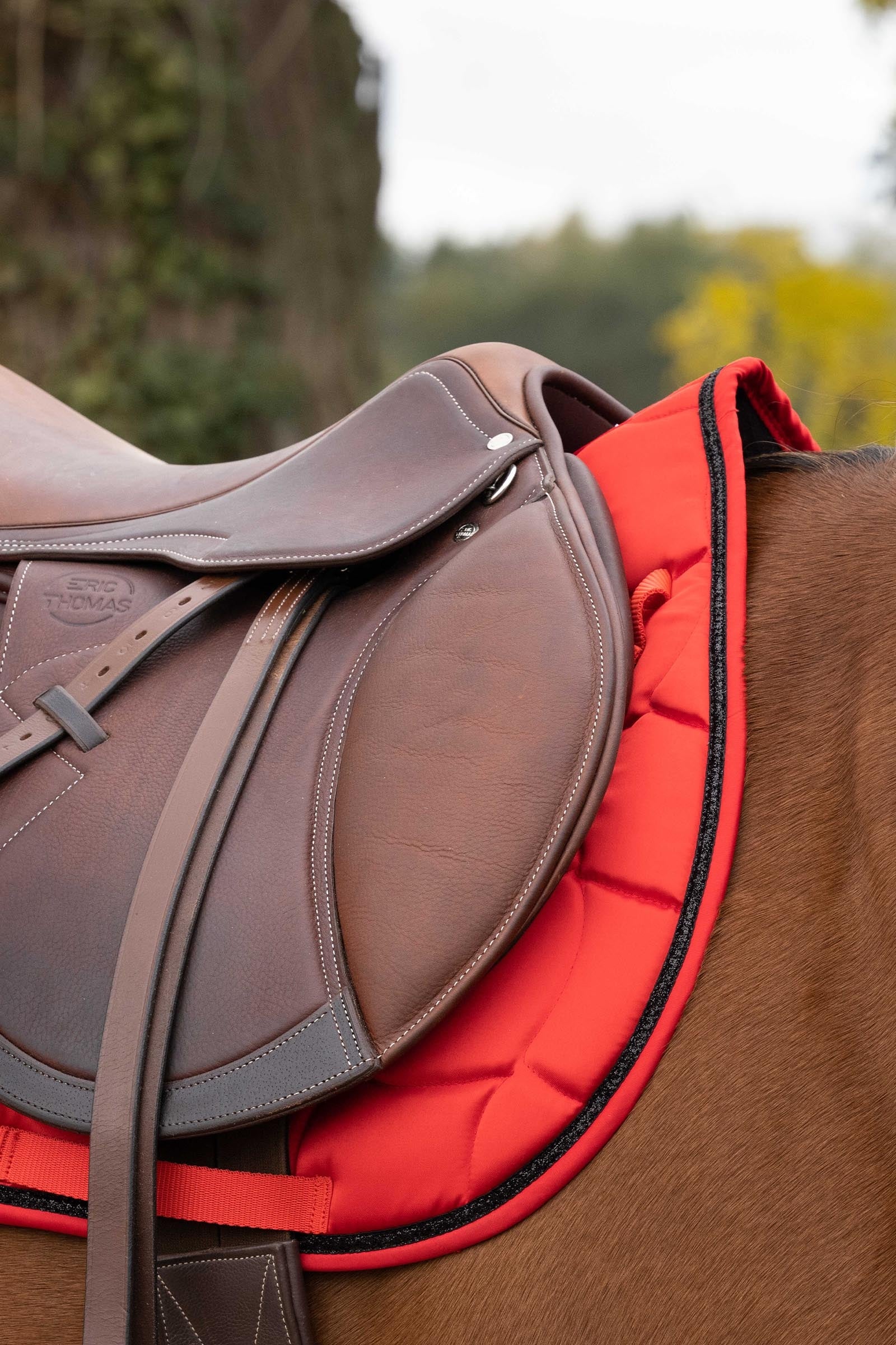 Equi Theme EQUITHÈME Satin All Purpose Saddle Pad Saddle Pads