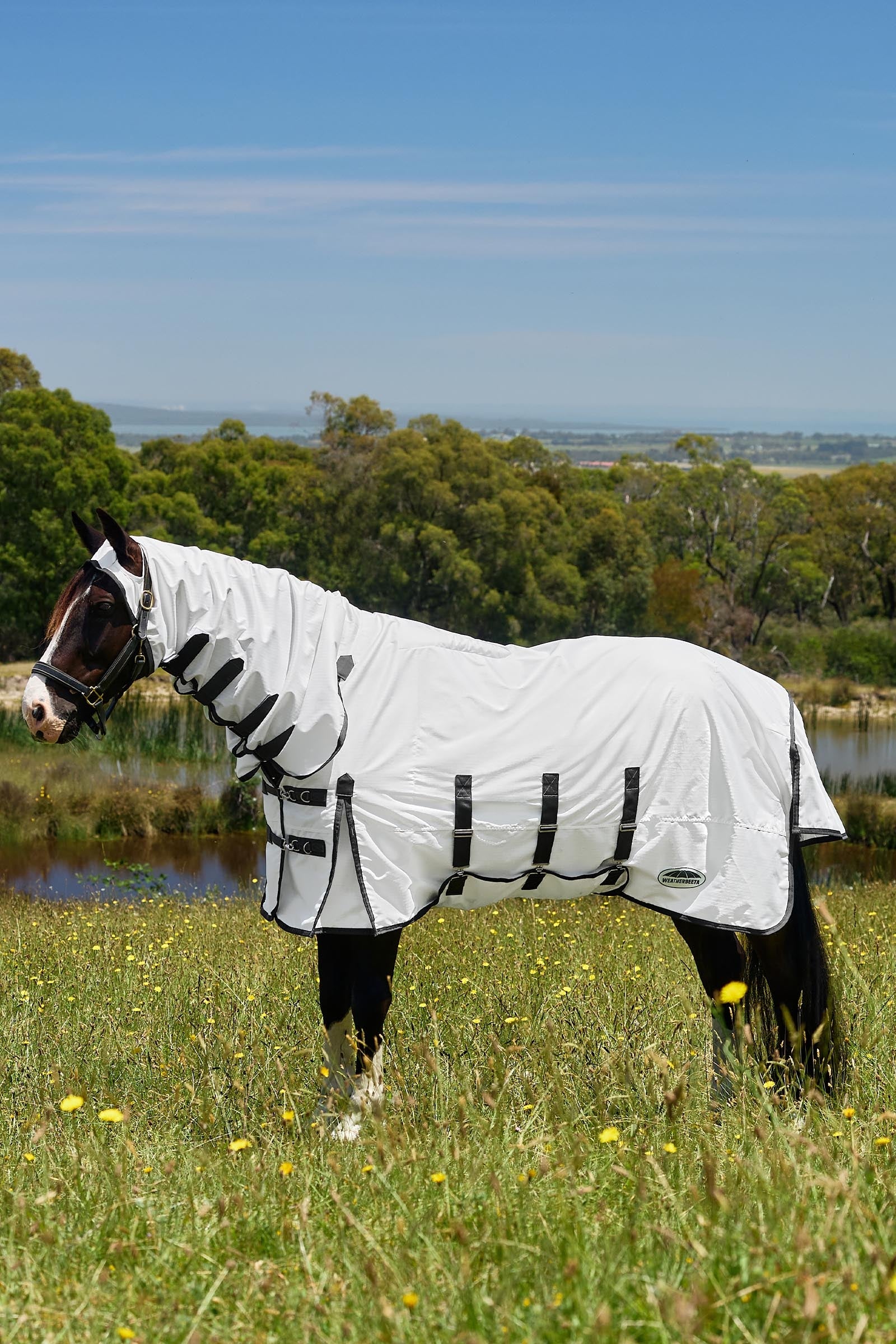 Weatherbeeta Comfitec Sweet Itch Shield Fly Sheet Combo W. Fixed Neck, 0g Horse Rugs