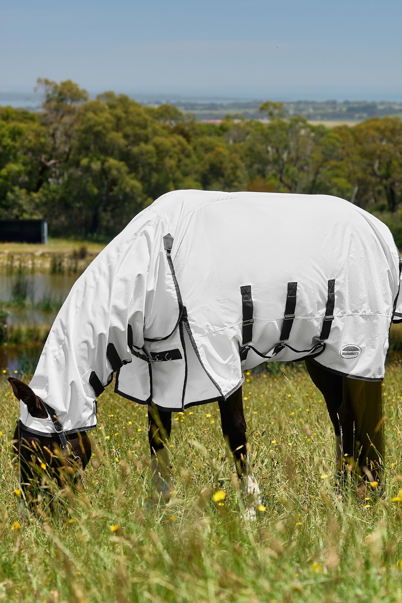 Weatherbeeta Comfitec Sweet Itch Shield Fly Sheet Combo W. Fixed Neck, 0g Horse Rugs