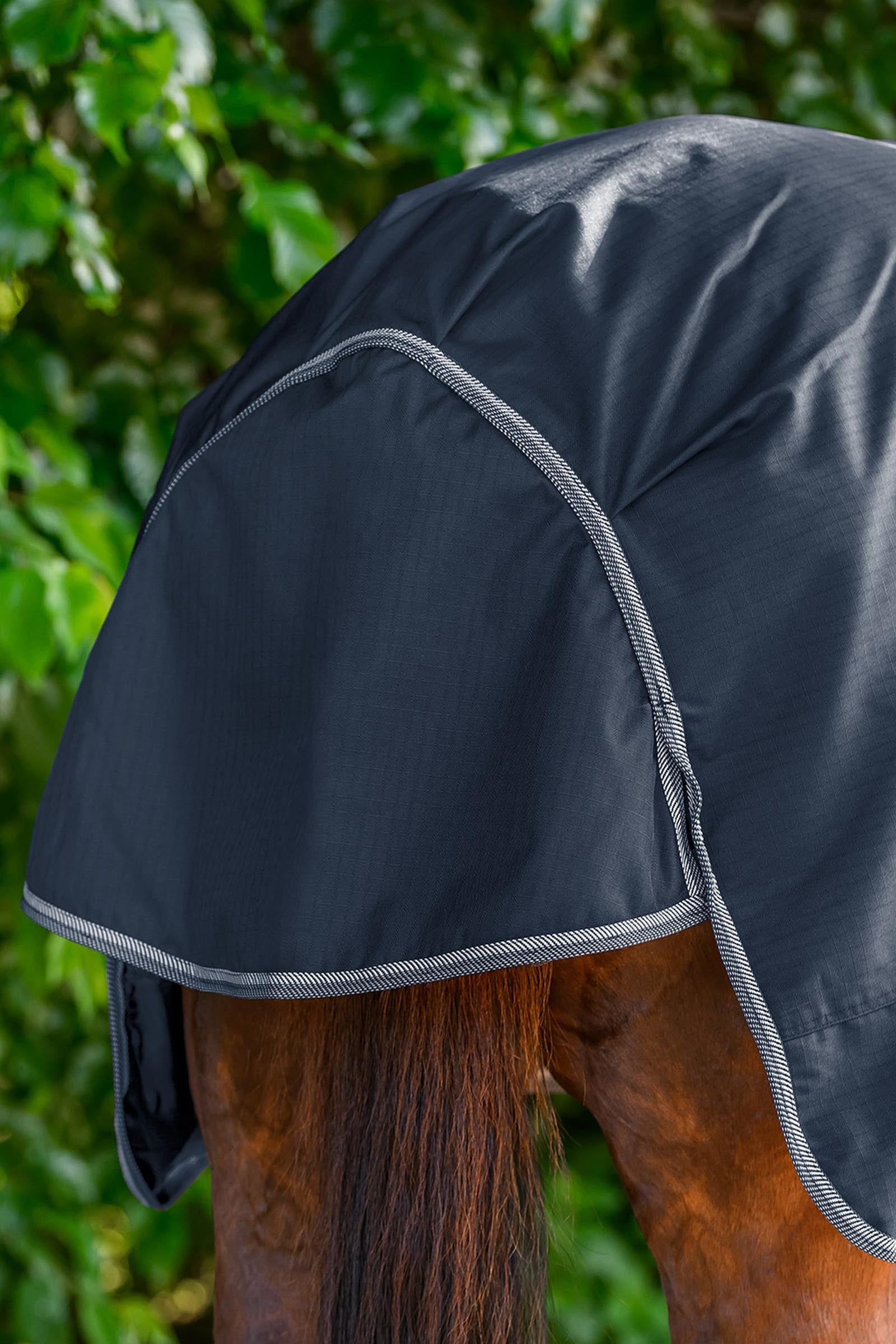 Waldhausen ECONOMIC Outdoor Rug, 100g Horse Rugs