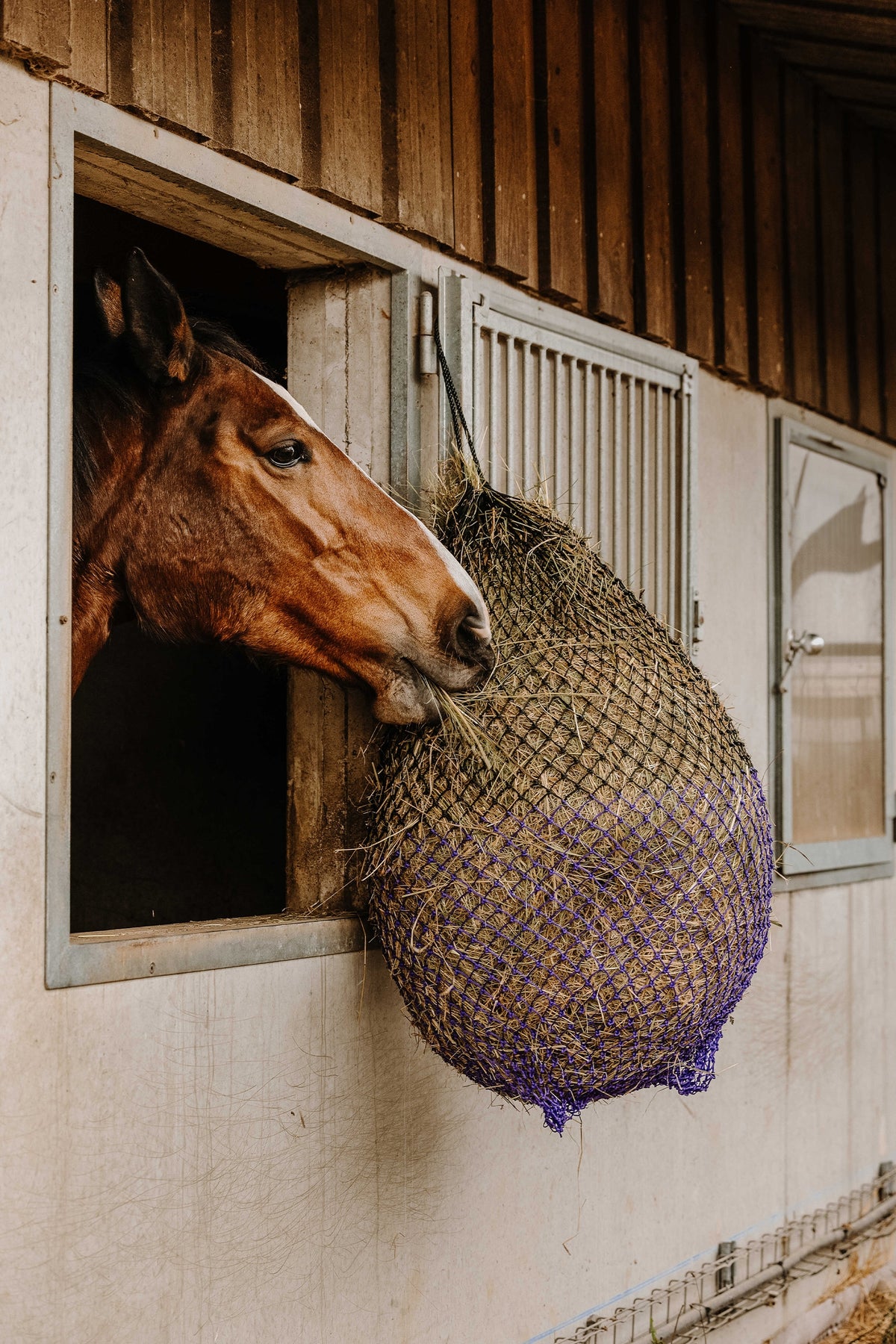 HIPPOTONIC Fin Hay Net (125 cm) Horse Feeders & Waterers