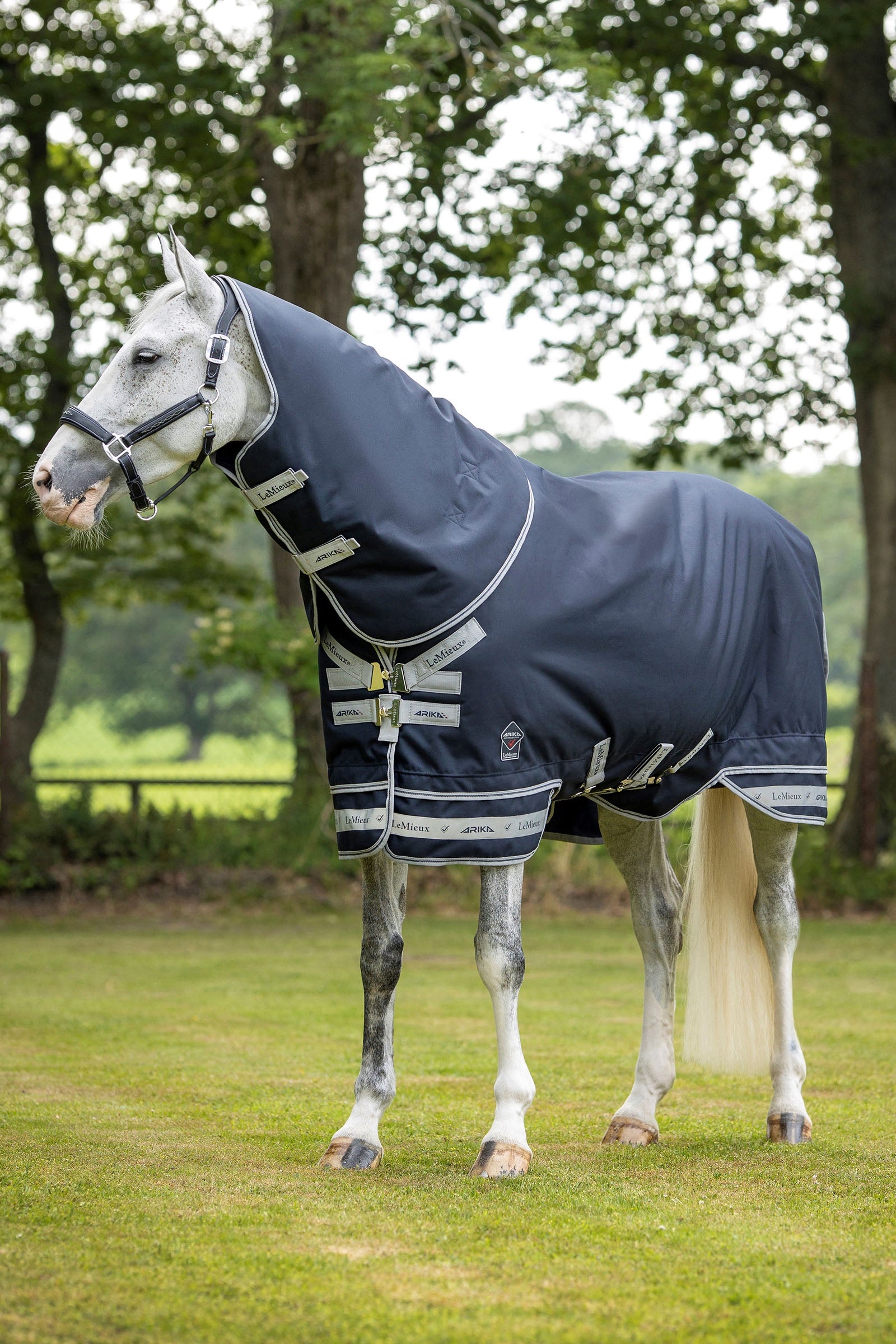 LeMieux Arika Storm-Tek Rug, 50 g Horse Rugs