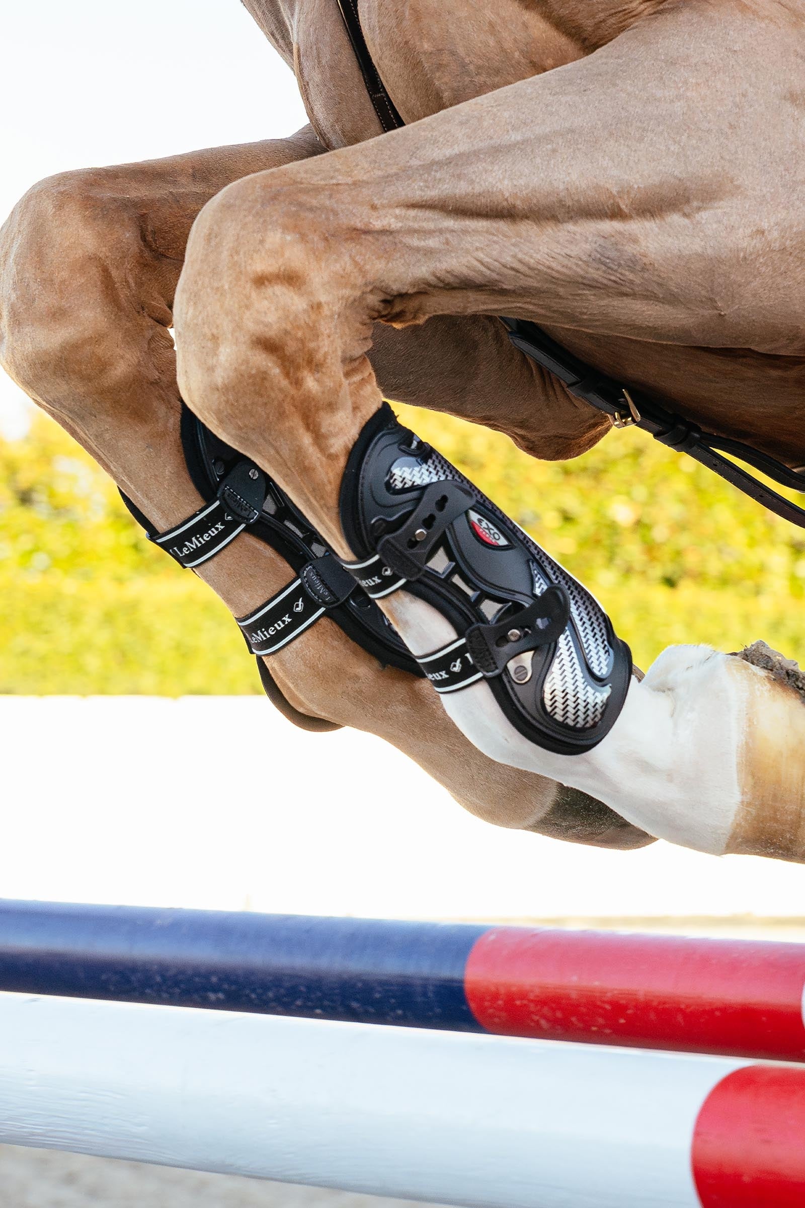 LeMieux EXO Flex Tendon Boots Leg & Hoof Protection