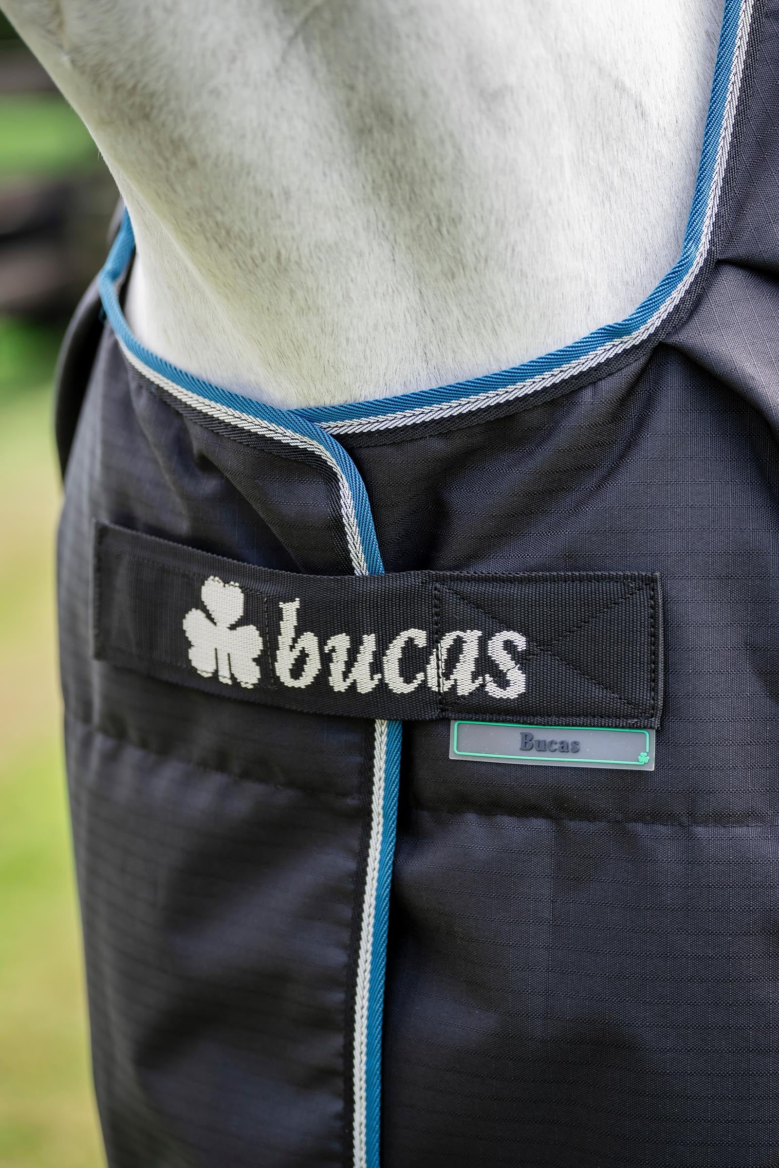 Bucas Anniversary SD Light Rain Turnout Rug, 0g Horse Rugs