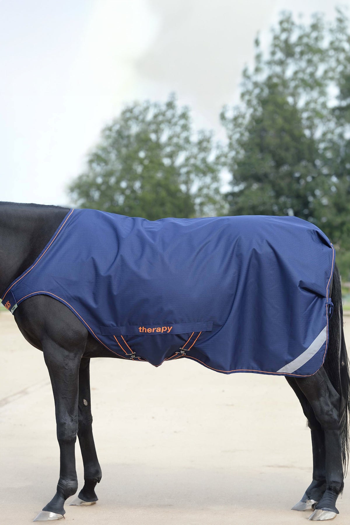 Therapy Rug Therapy Walker Rug Dark Blue/Dark Blue 135 – horze