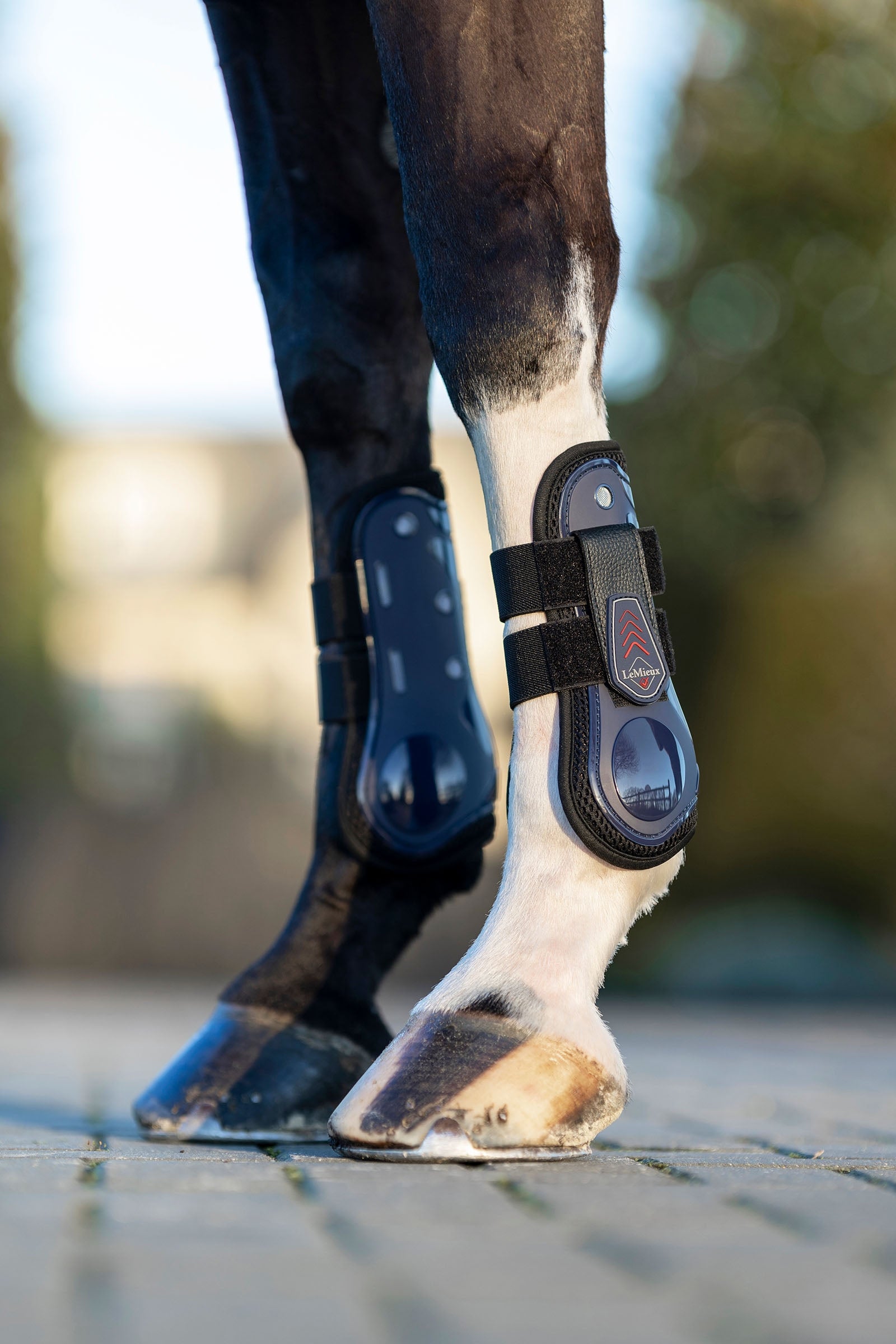 LeMieux Derby ProJump Tendon Boot Leg Protection & Hoof Protection for Horses