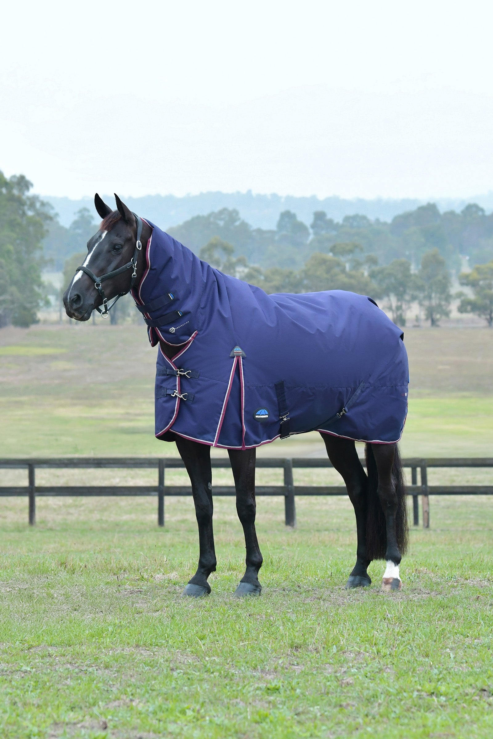 Weatherbeeta Comfitec Essential Turnout Rug With Fixed Neck, 220g Horse Rugs