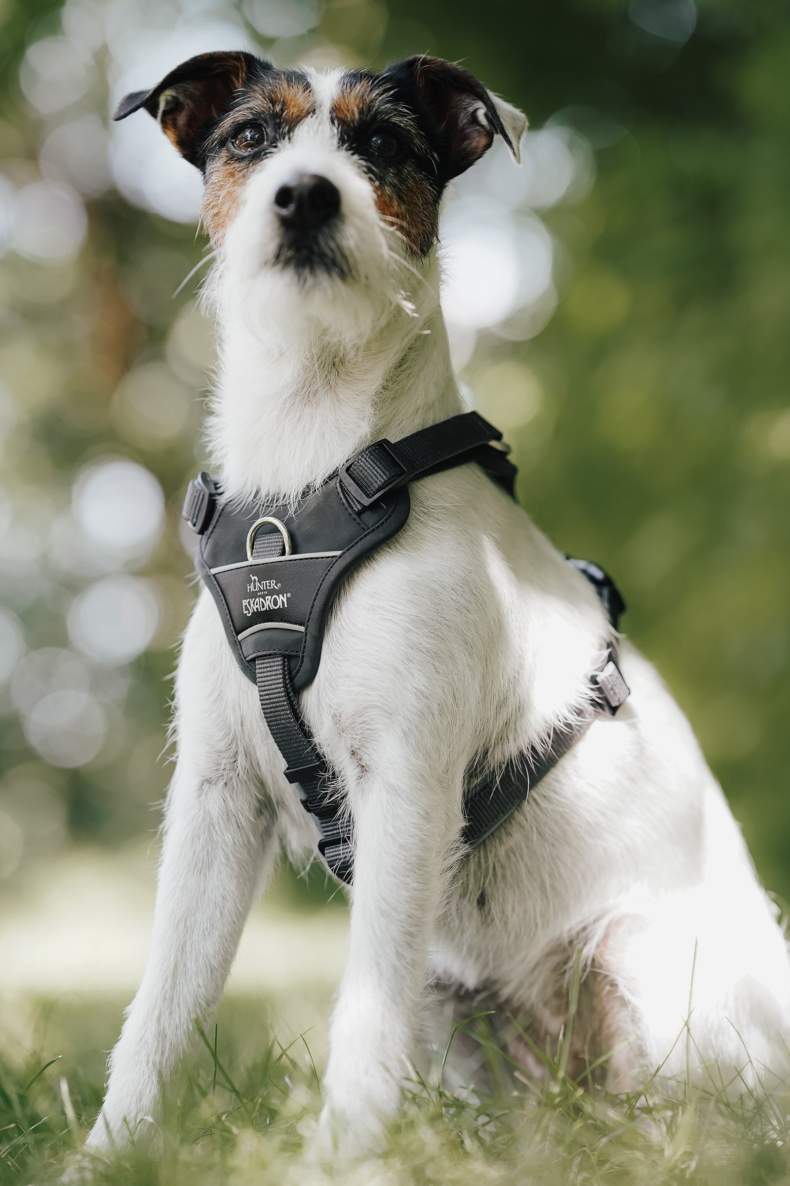 Lifestyle shot 1